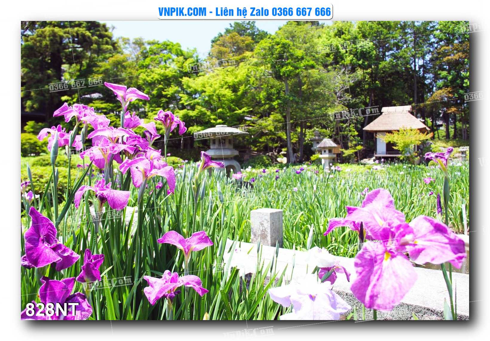 Tranh Trang Trí Phong Cảnh Nghệ Thuật Mã Số 828NT