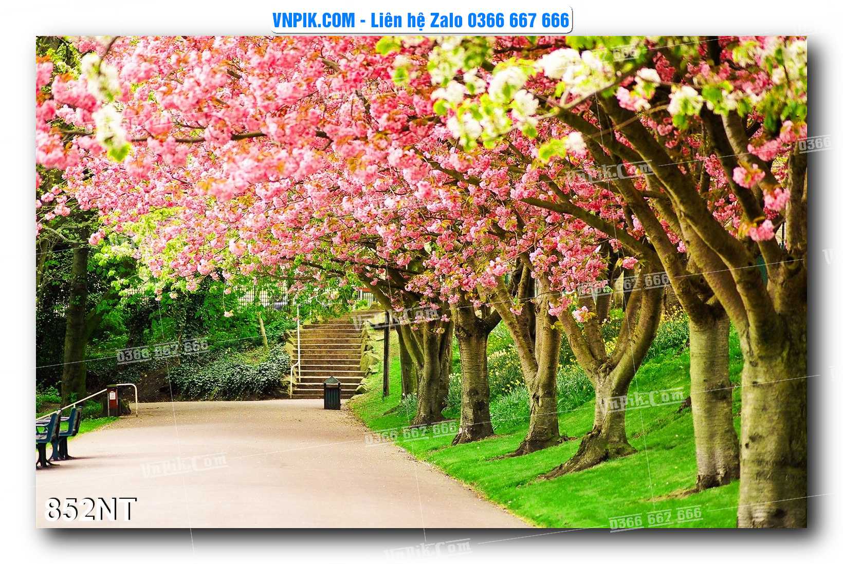Tranh Trang Trí Phong Cảnh Nghệ Thuật Mã Số 852NT