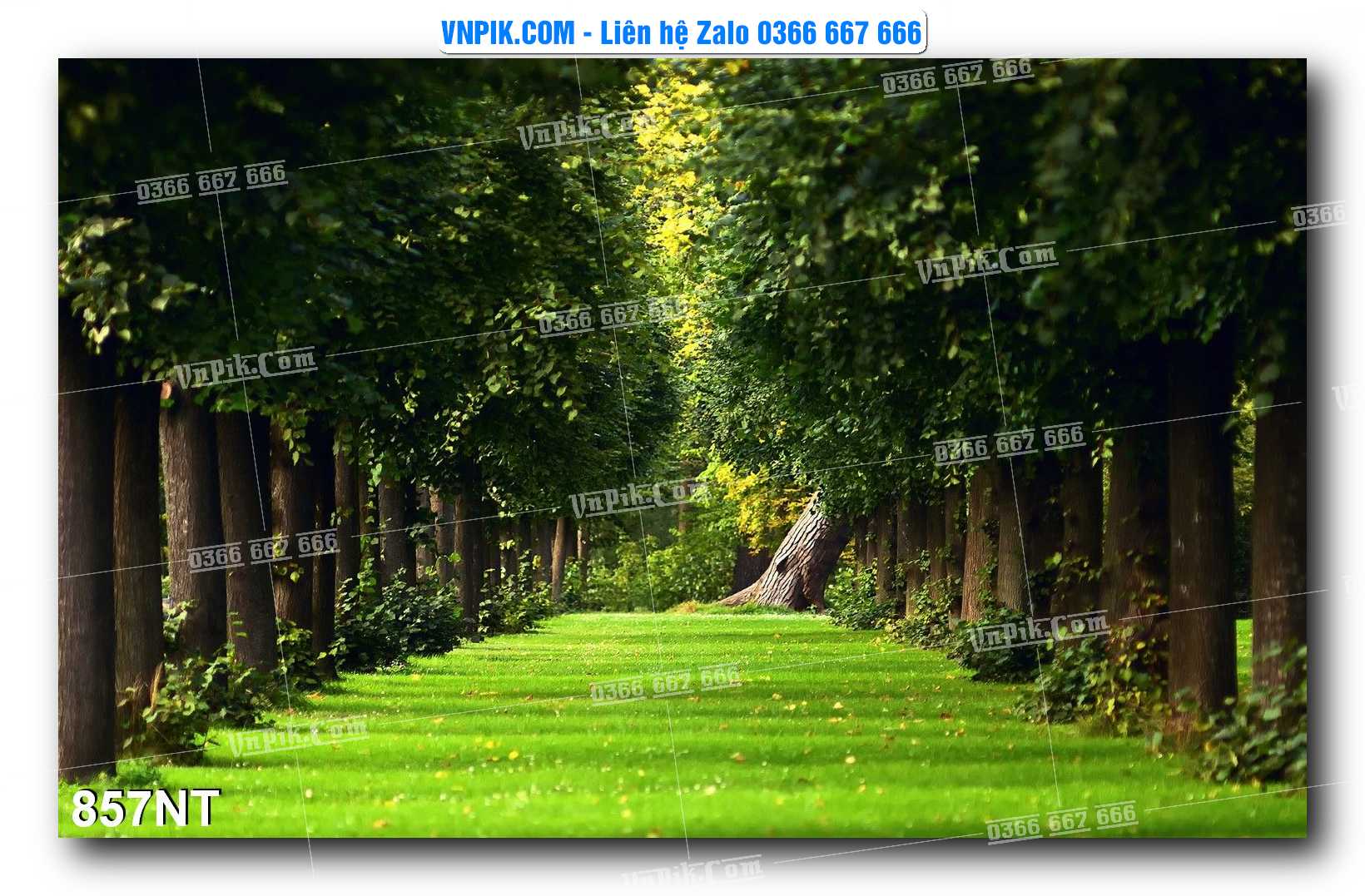 Tranh Trang Trí Phong Cảnh Nghệ Thuật Mã Số 857NT
