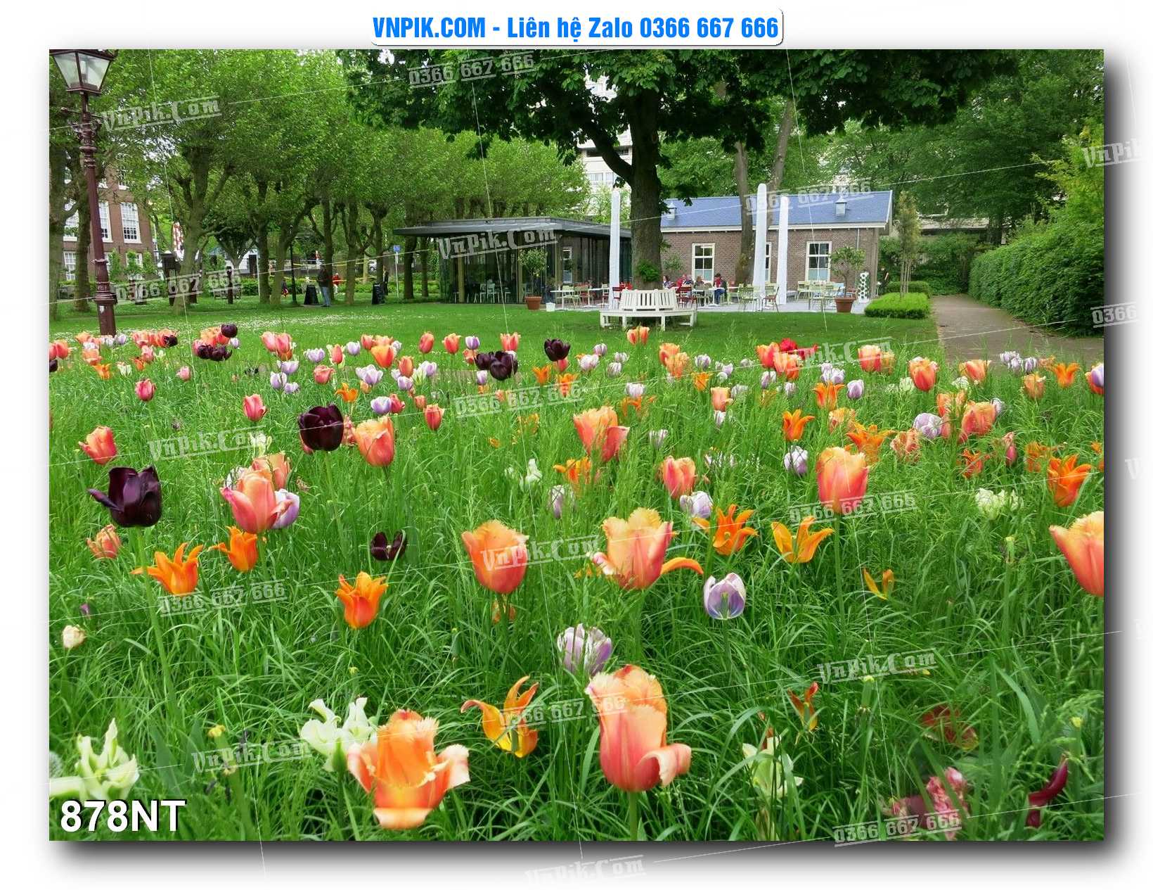 Tranh Trang Trí Phong Cảnh Nghệ Thuật Mã Số 878NT