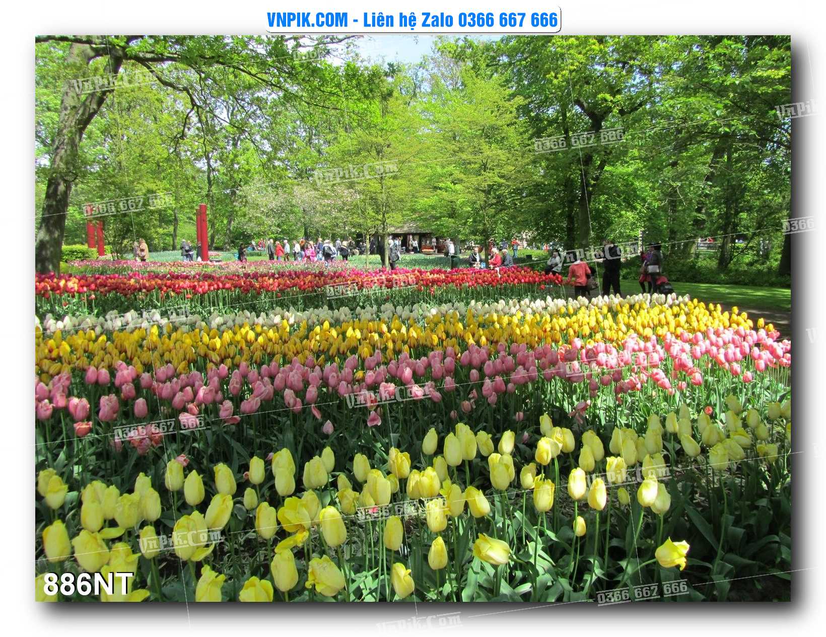 Tranh Trang Trí Phong Cảnh Nghệ Thuật Mã Số 886NT