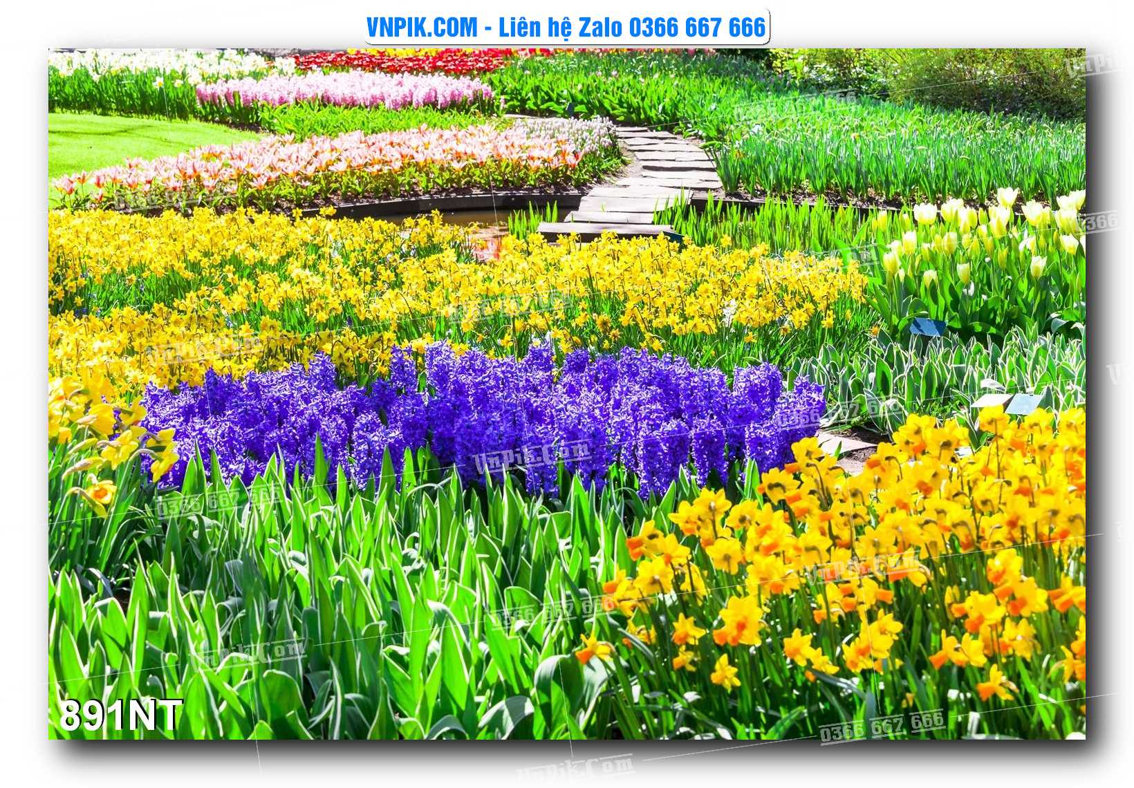 Tranh Trang Trí Phong Cảnh Nghệ Thuật Mã Số 891NT