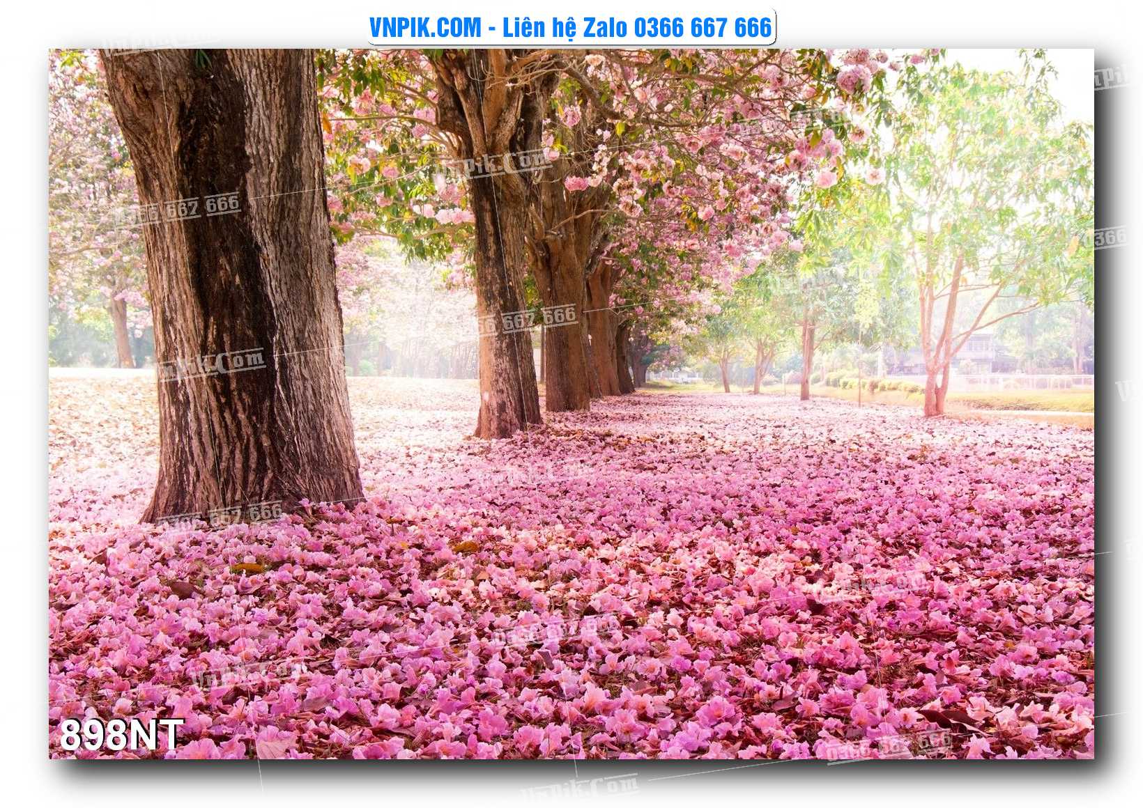Tranh Trang Trí Phong Cảnh Nghệ Thuật Mã Số 898NT