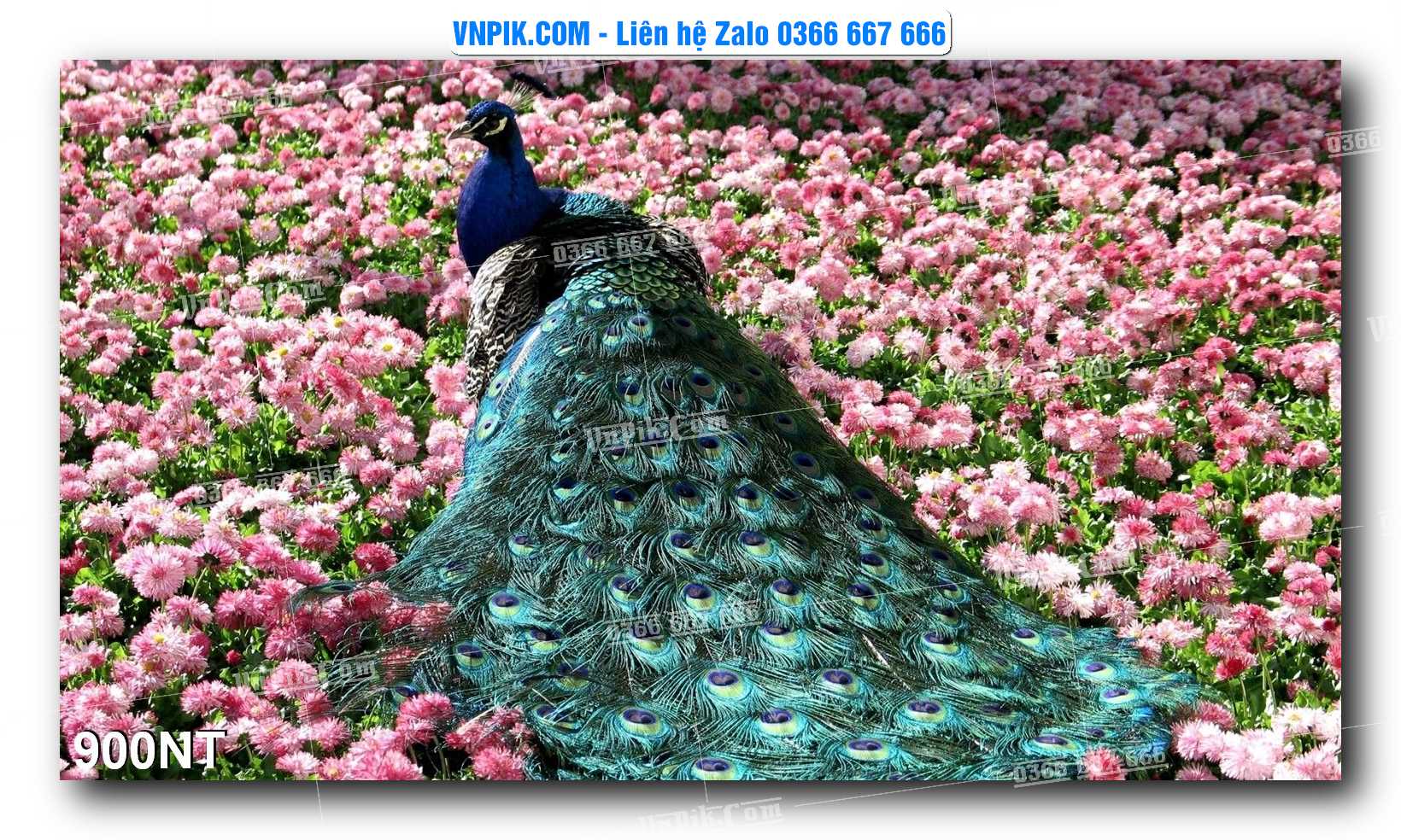 Tranh Trang Trí Phong Cảnh Nghệ Thuật Mã Số 900NT