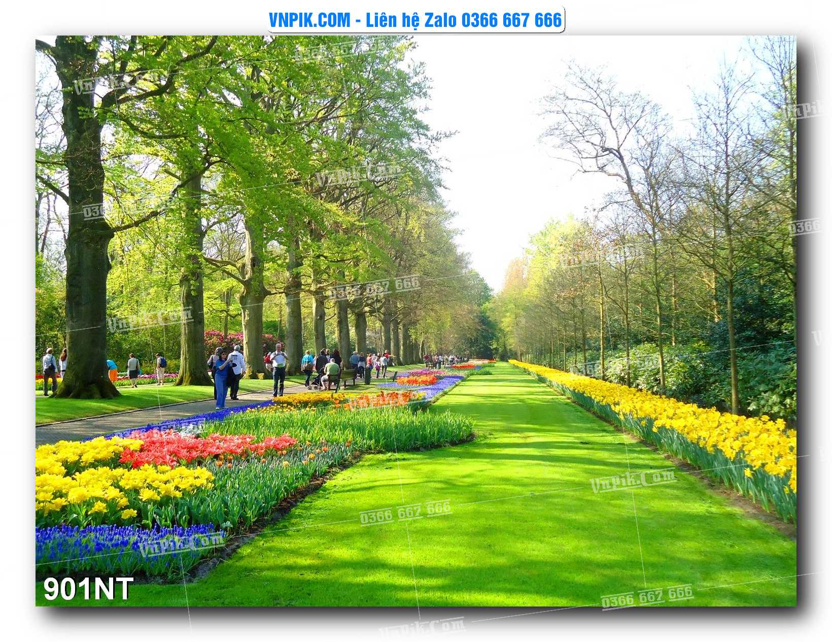 Tranh Trang Trí Phong Cảnh Nghệ Thuật Mã Số 901NT