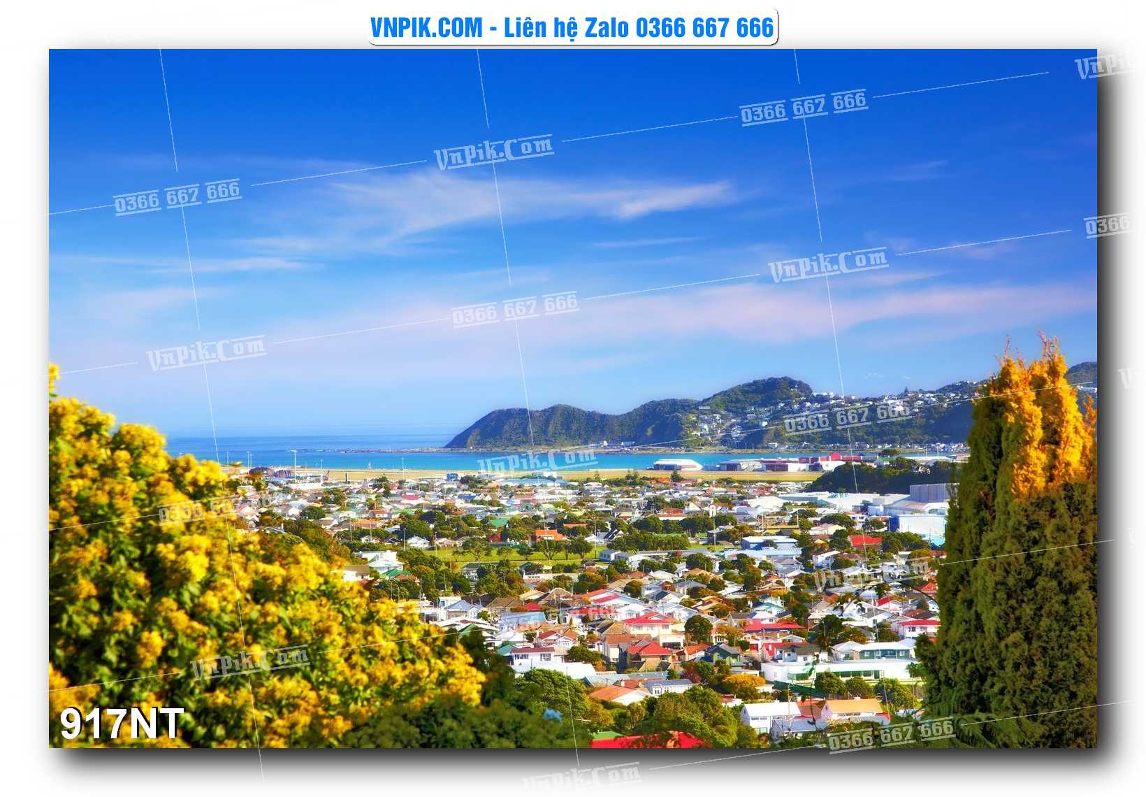 Tranh Trang Trí Phong Cảnh Nghệ Thuật Mã Số 917NT