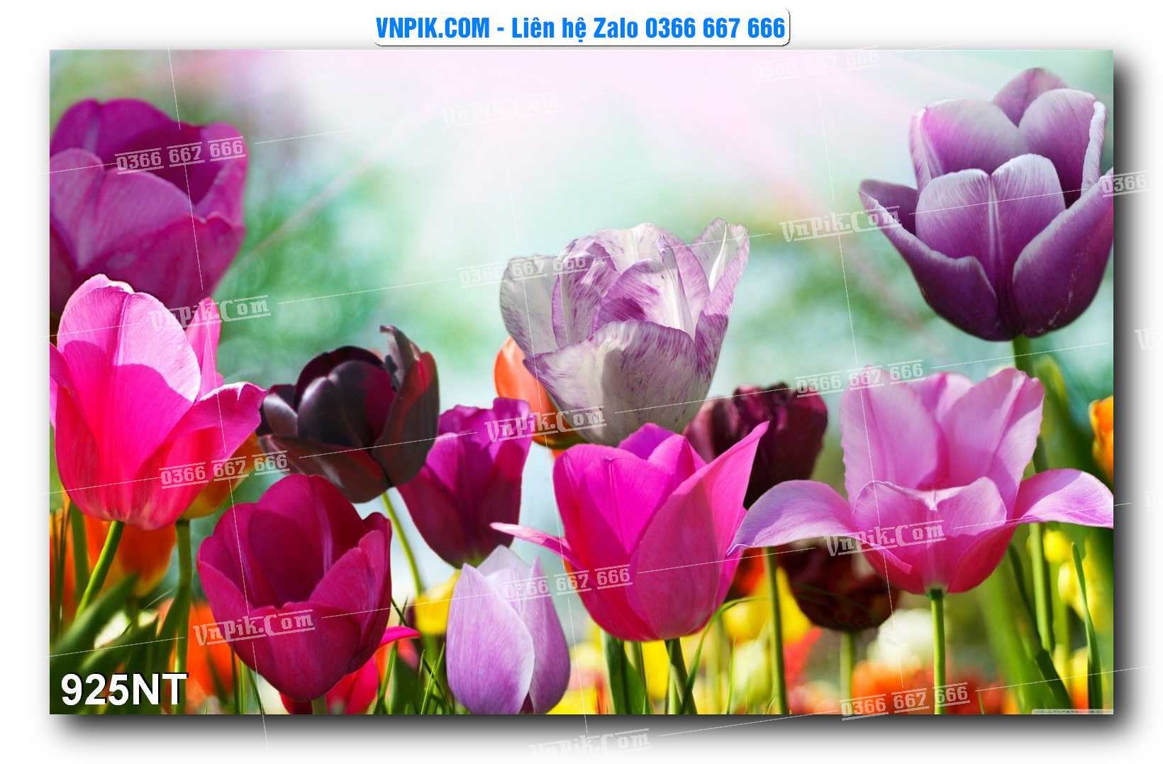 Tranh Trang Trí Phong Cảnh Nghệ Thuật Mã Số 925NT