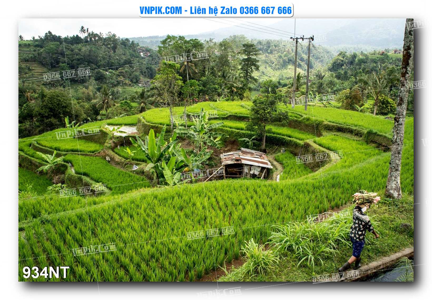 Tranh Trang Trí Phong Cảnh Nghệ Thuật Mã Số 934NT