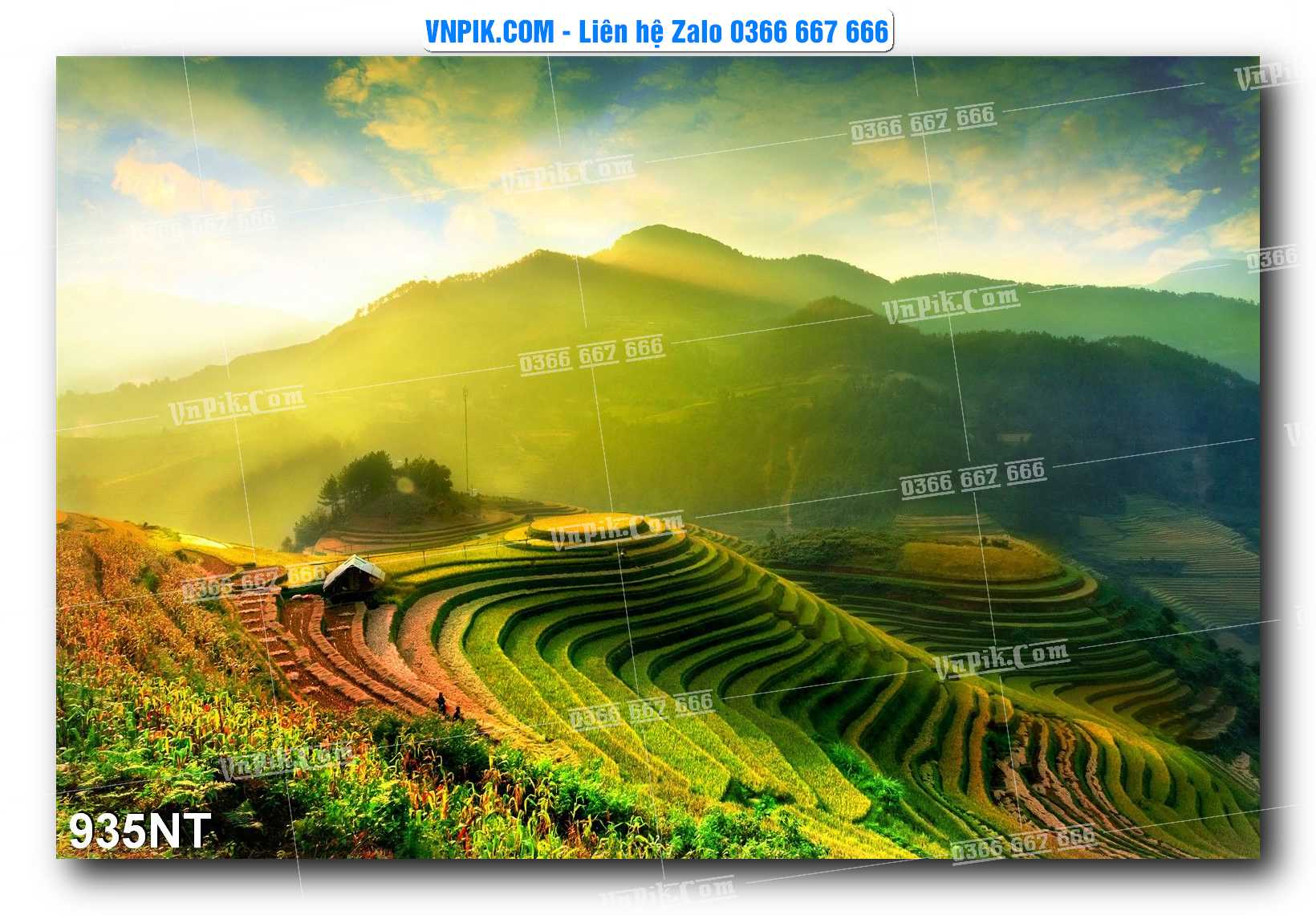 Tranh Trang Trí Phong Cảnh Nghệ Thuật Mã Số 935NT