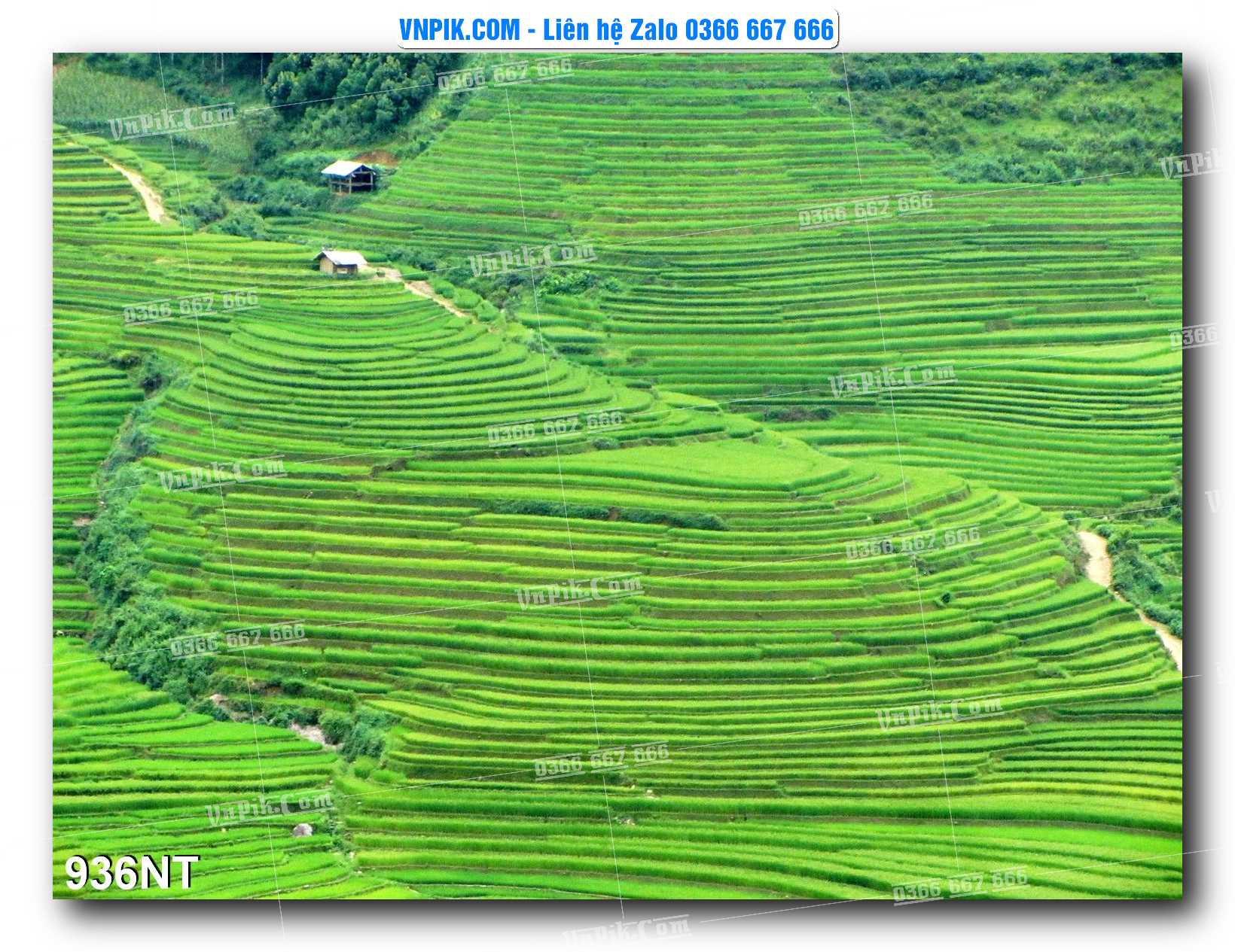 Tranh Trang Trí Phong Cảnh Nghệ Thuật Mã Số 936NT