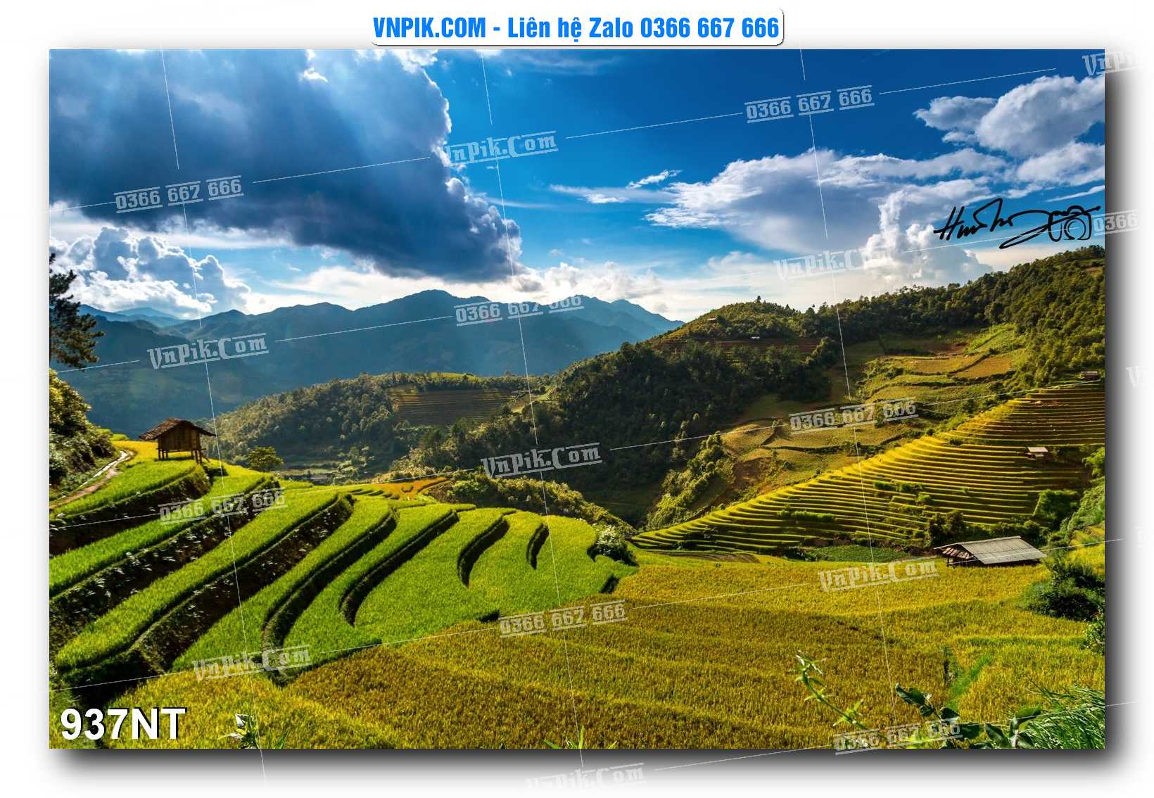 Tranh Trang Trí Phong Cảnh Nghệ Thuật Mã Số 937NT