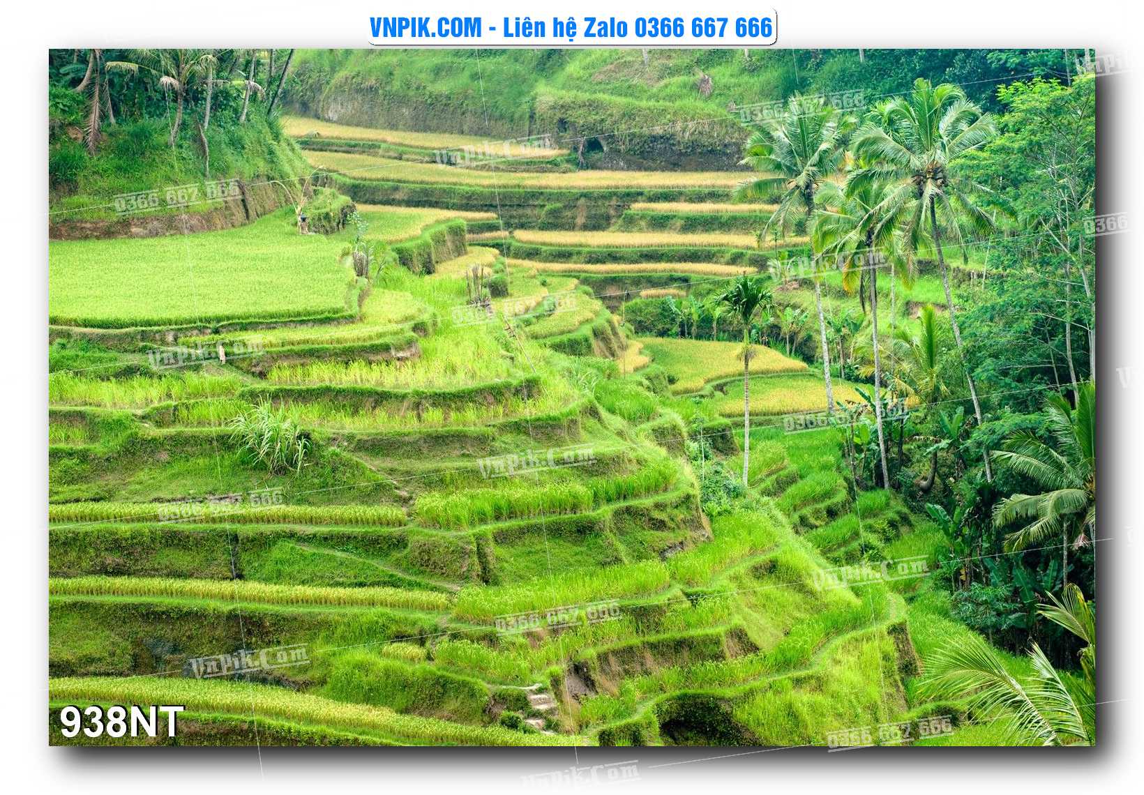 Tranh Trang Trí Phong Cảnh Nghệ Thuật Mã Số 938NT