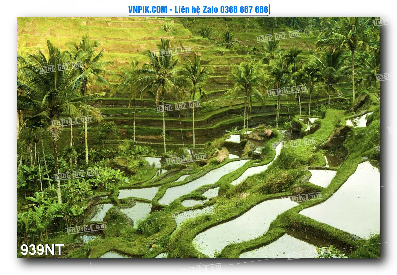 Tranh Trang Trí Phong Cảnh Nghệ Thuật Mã Số 939NT