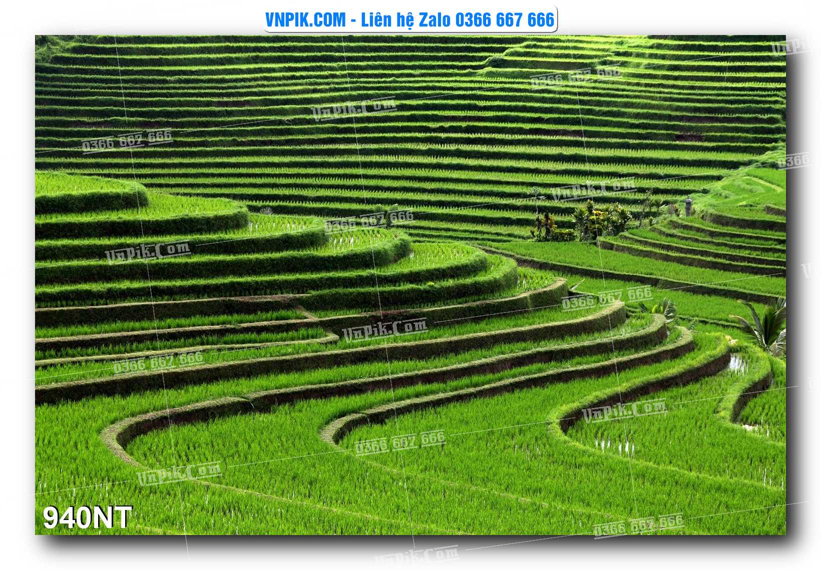 Tranh Trang Trí Phong Cảnh Nghệ Thuật Mã Số 940NT