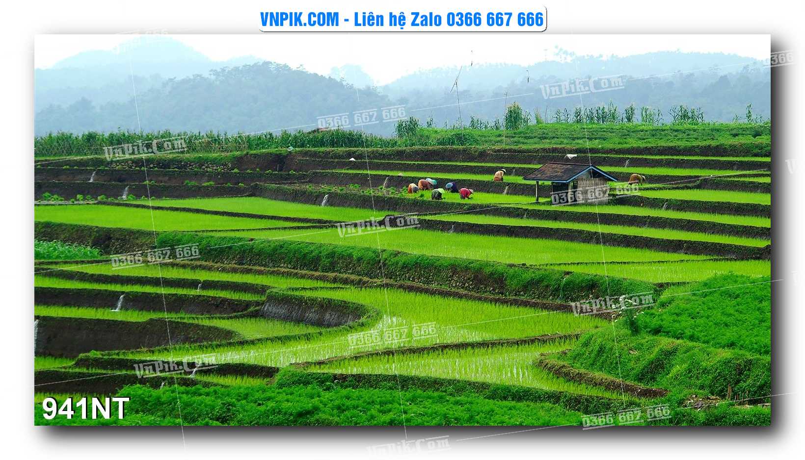 Tranh Trang Trí Phong Cảnh Nghệ Thuật Mã Số 941NT