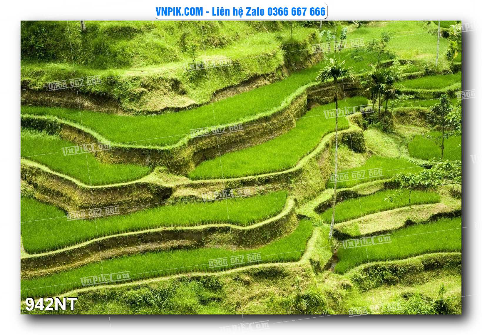 Tranh Trang Trí Phong Cảnh Nghệ Thuật Mã Số 942NT