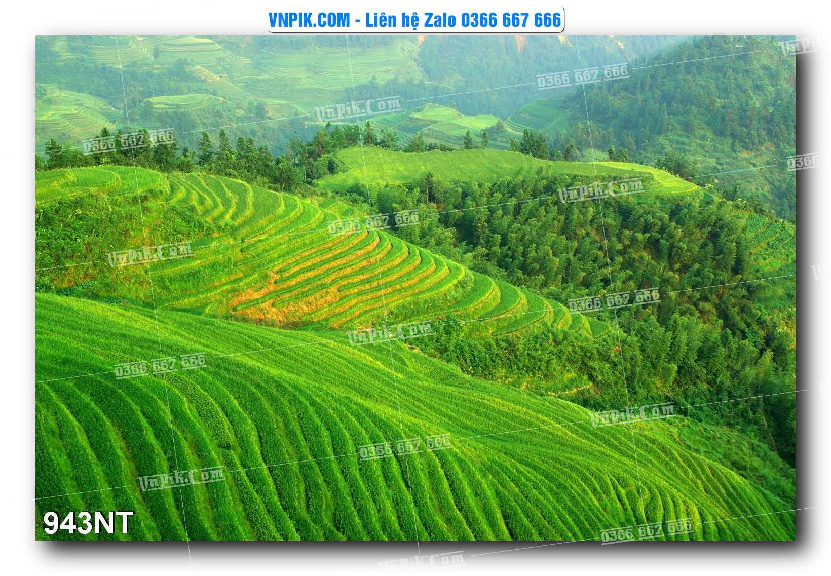 Tranh Trang Trí Phong Cảnh Nghệ Thuật Mã Số 943NT