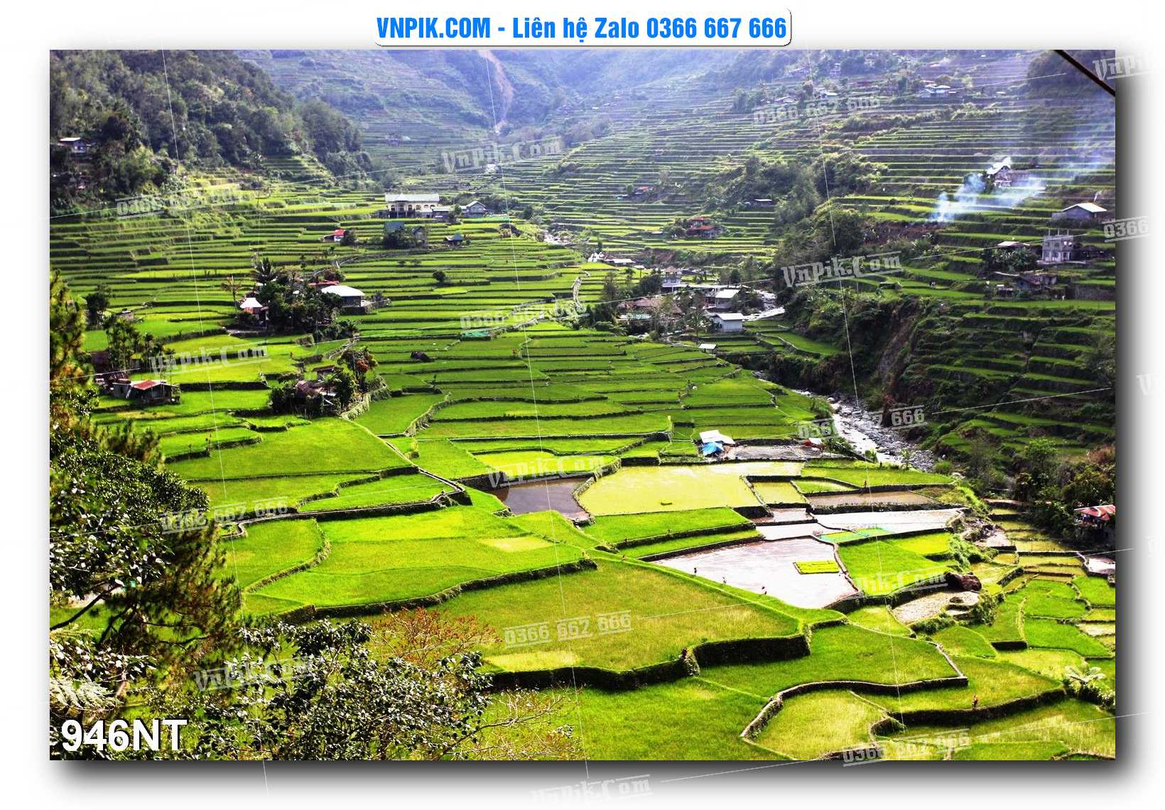 Tranh Trang Trí Phong Cảnh Nghệ Thuật Mã Số 946NT