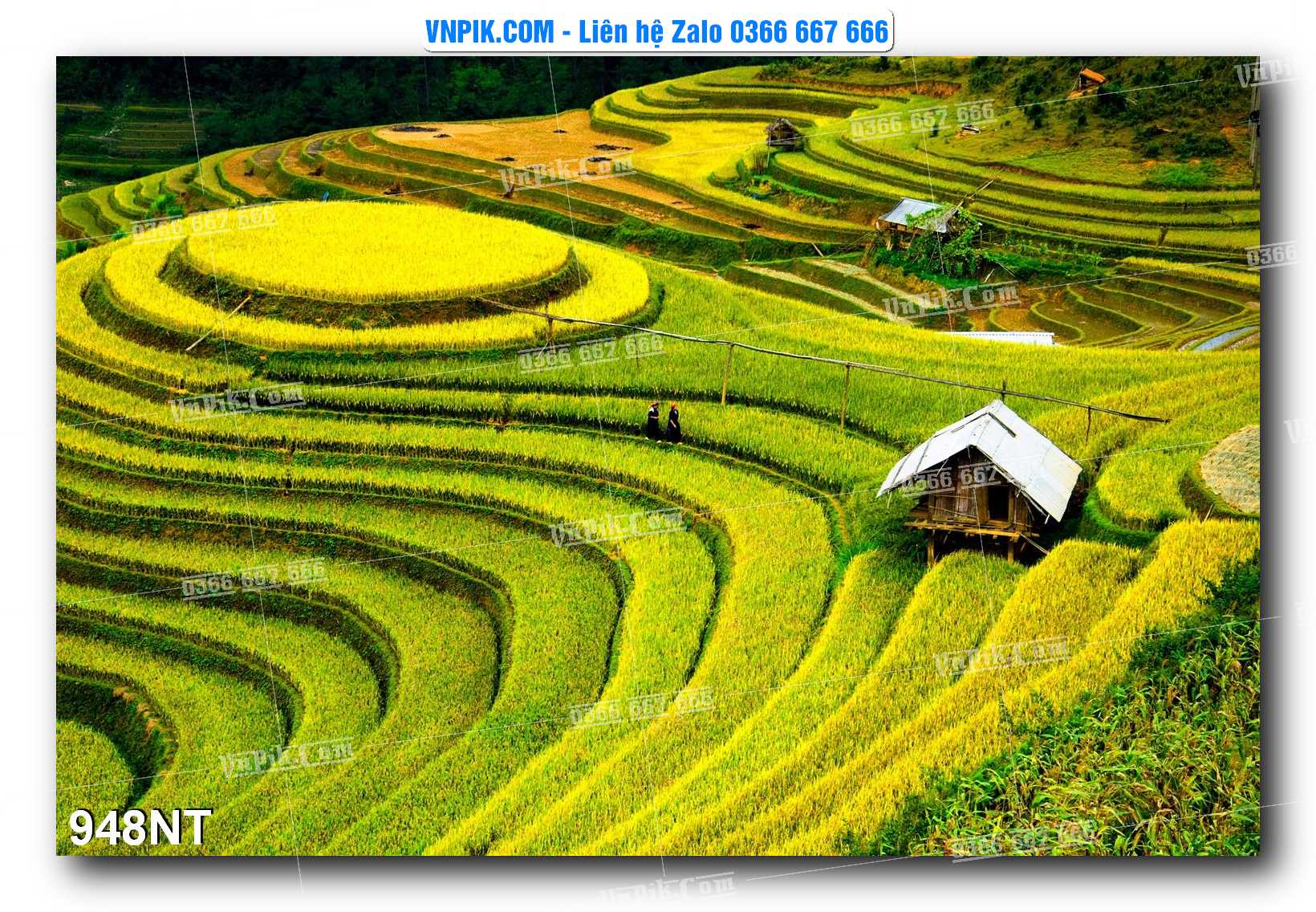Tranh Trang Trí Phong Cảnh Nghệ Thuật Mã Số 948NT