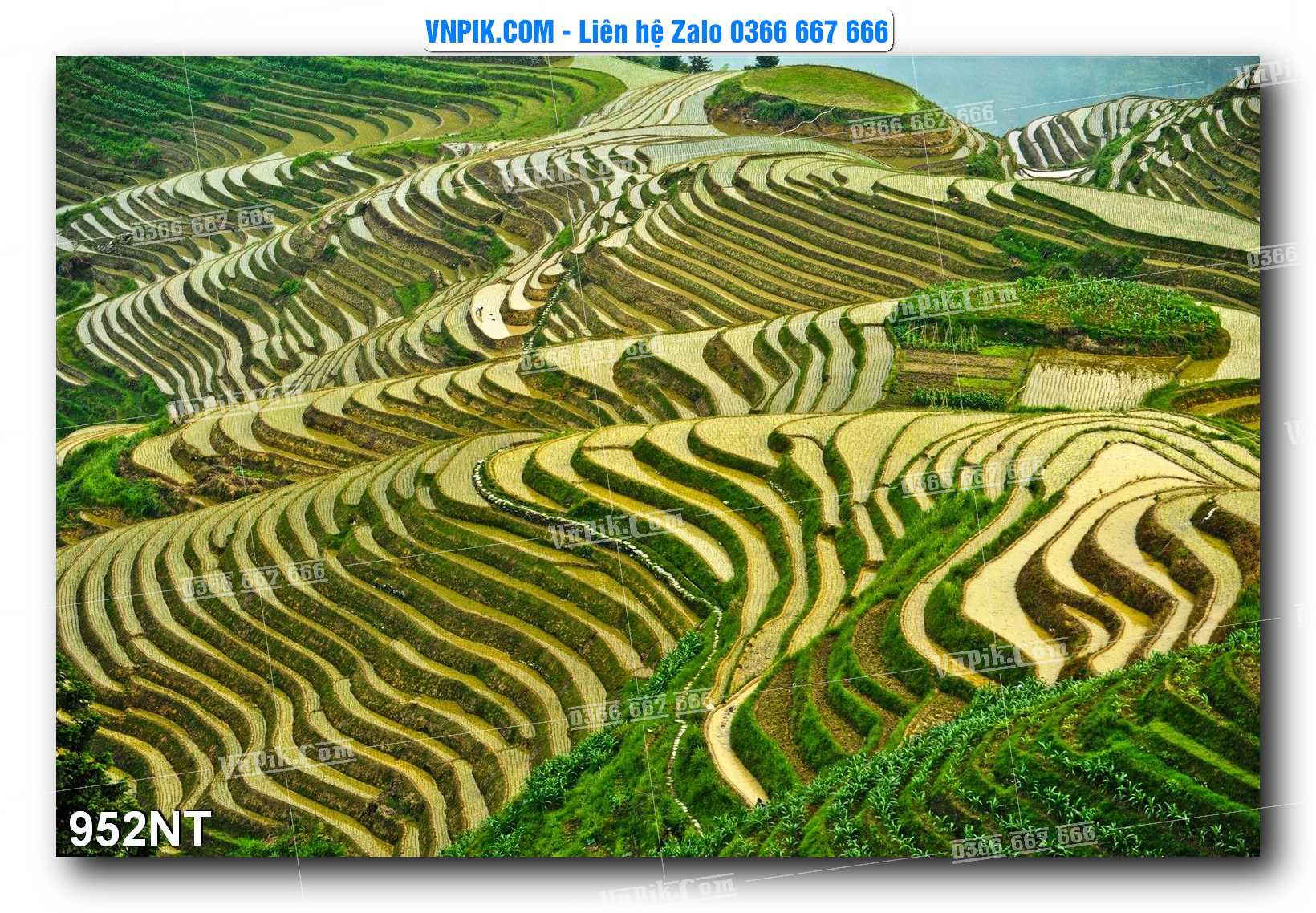 Tranh Trang Trí Phong Cảnh Nghệ Thuật Mã Số 952NT