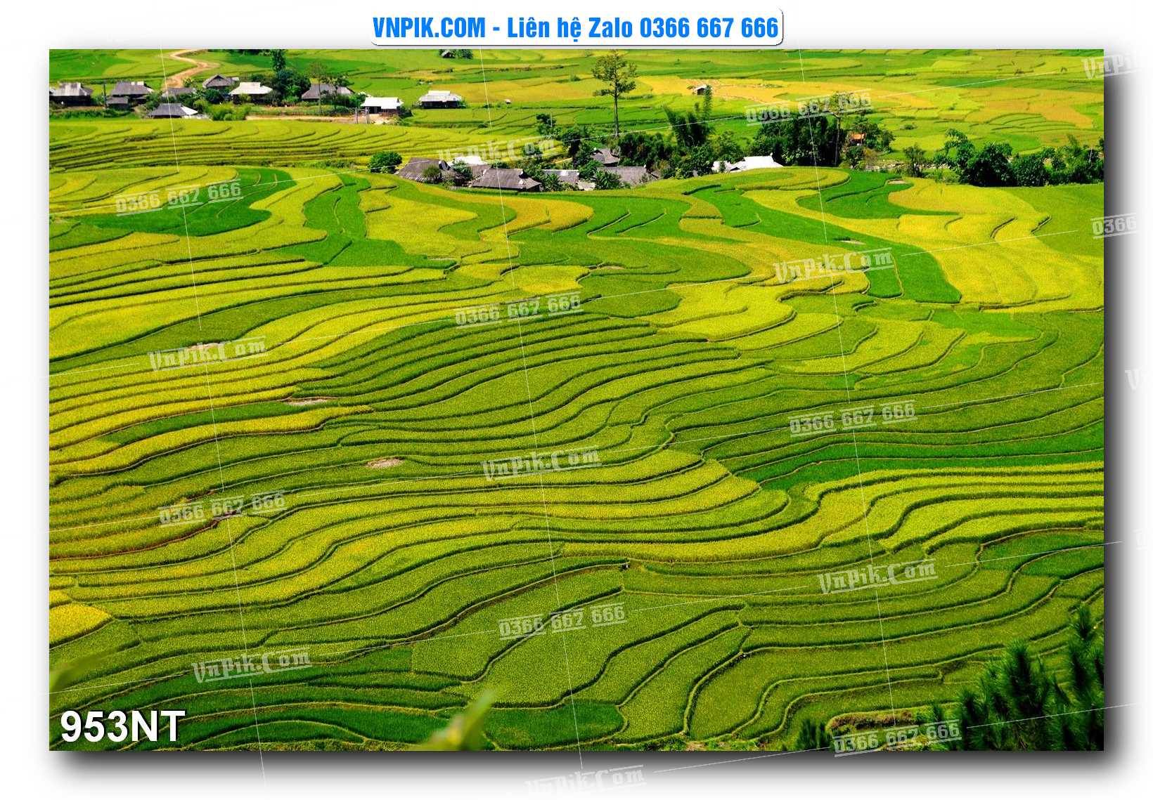 Tranh Trang Trí Phong Cảnh Nghệ Thuật Mã Số 953NT