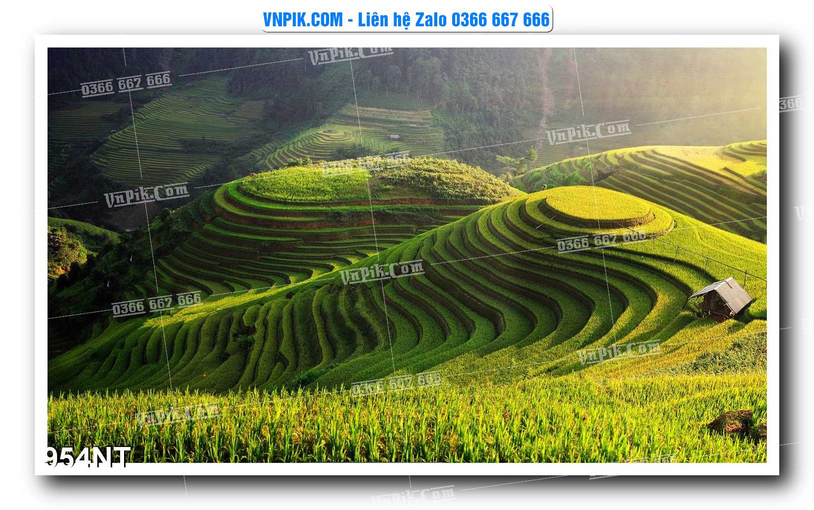 Tranh Trang Trí Phong Cảnh Nghệ Thuật Mã Số 954NT