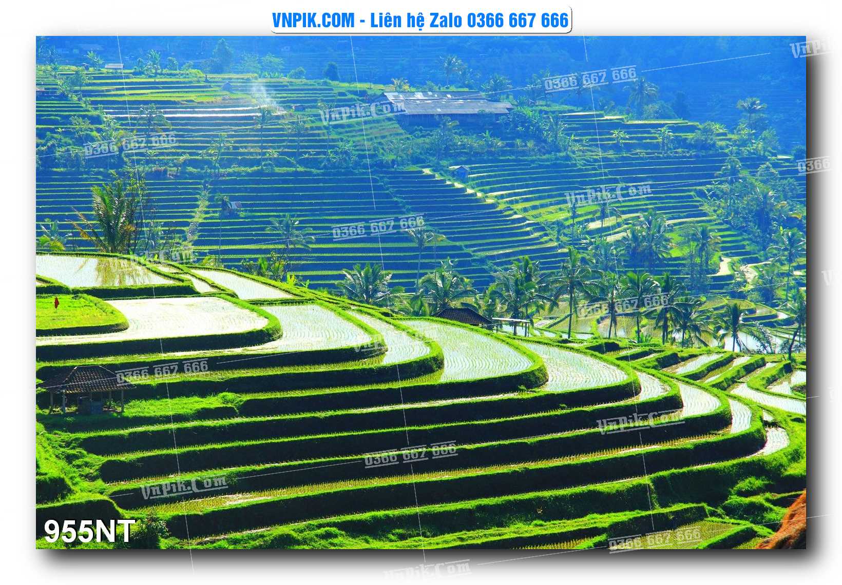 Tranh Trang Trí Phong Cảnh Nghệ Thuật Mã Số 955NT