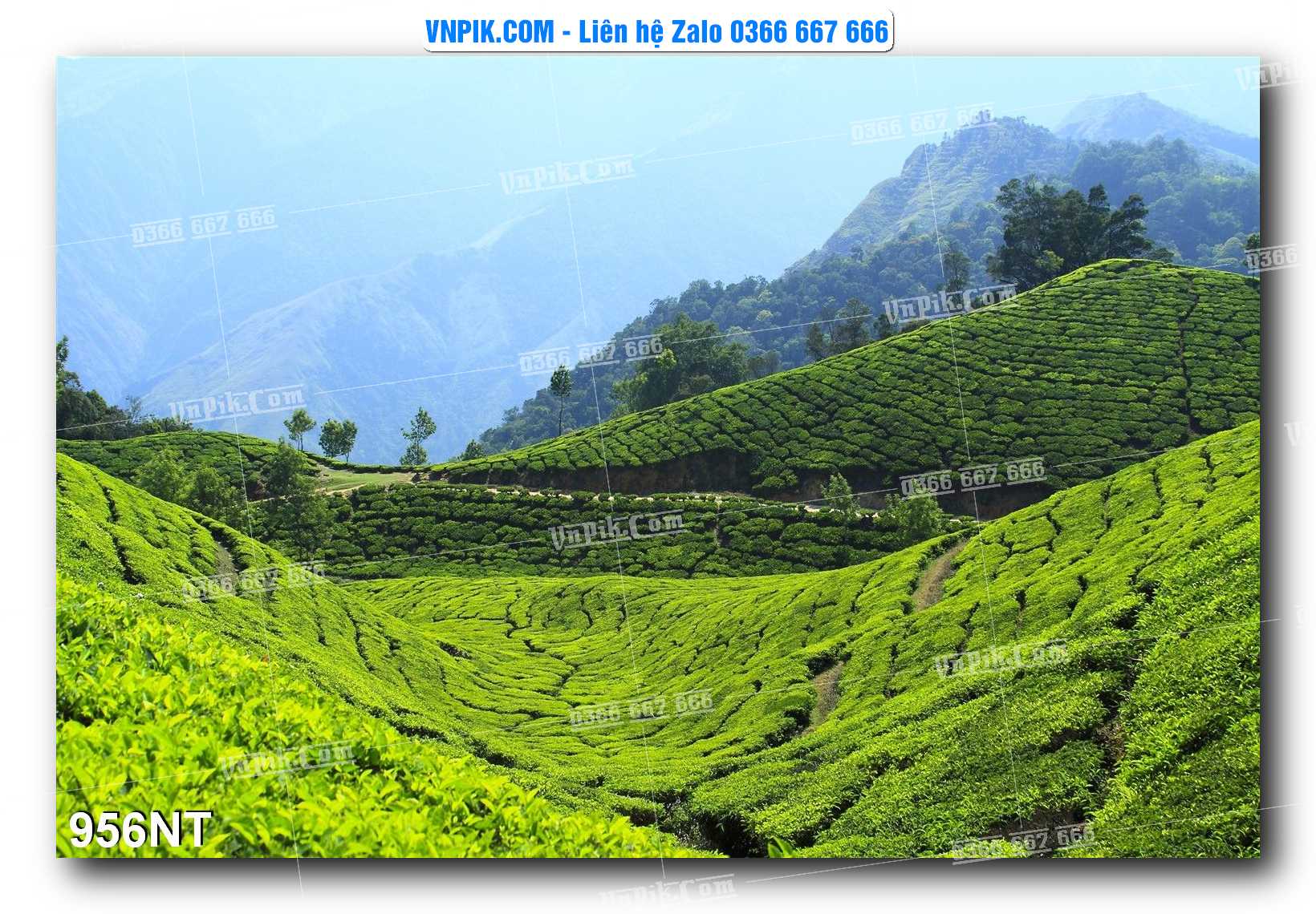 Tranh Trang Trí Phong Cảnh Nghệ Thuật Mã Số 956NT