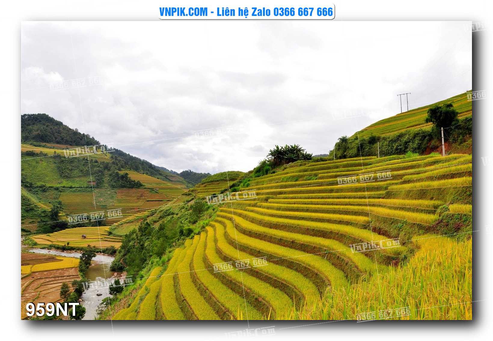 Tranh Trang Trí Phong Cảnh Nghệ Thuật Mã Số 959NT