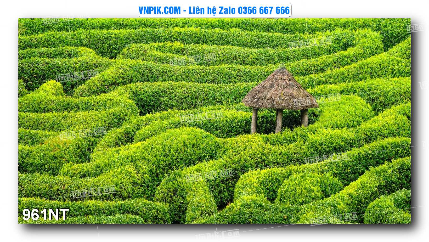 Tranh Trang Trí Phong Cảnh Nghệ Thuật Mã Số 961NT