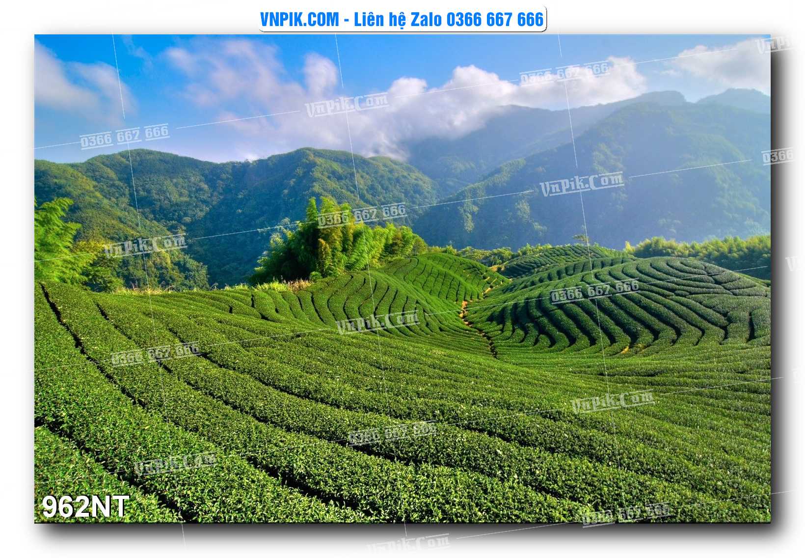 Tranh Trang Trí Phong Cảnh Nghệ Thuật Mã Số 962NT