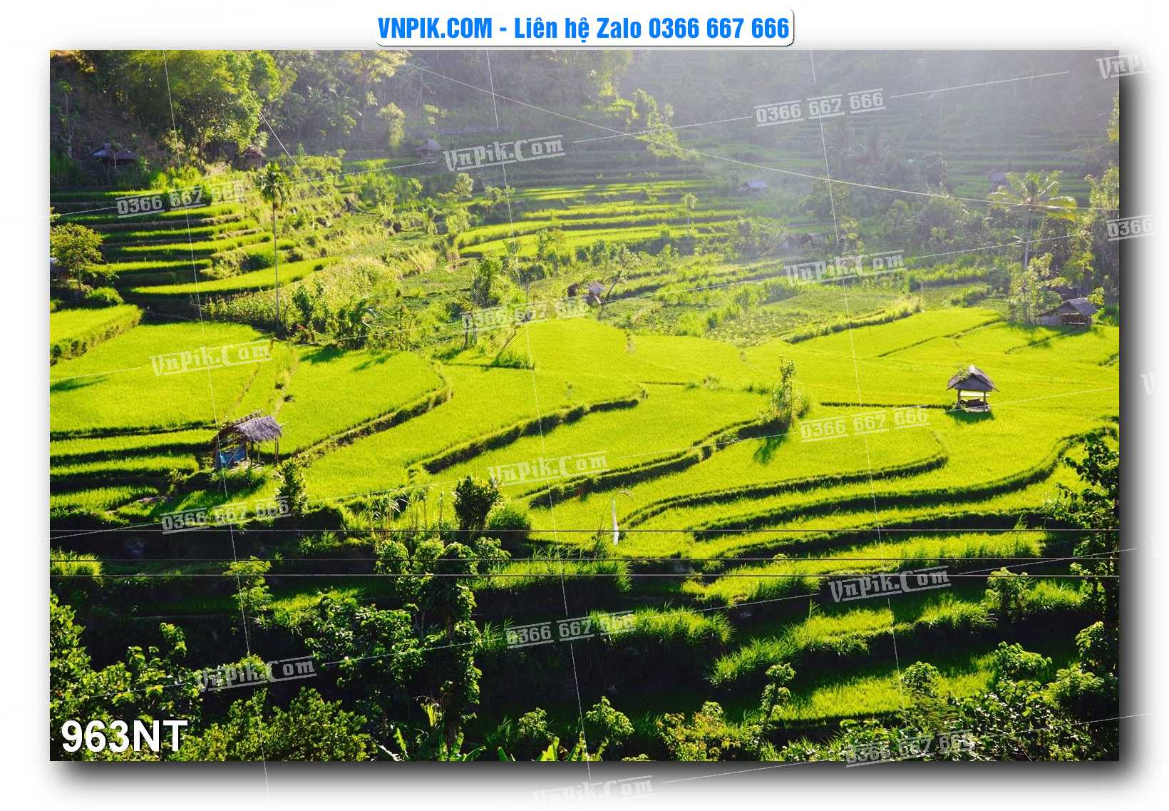 Tranh Trang Trí Phong Cảnh Nghệ Thuật Mã Số 963NT