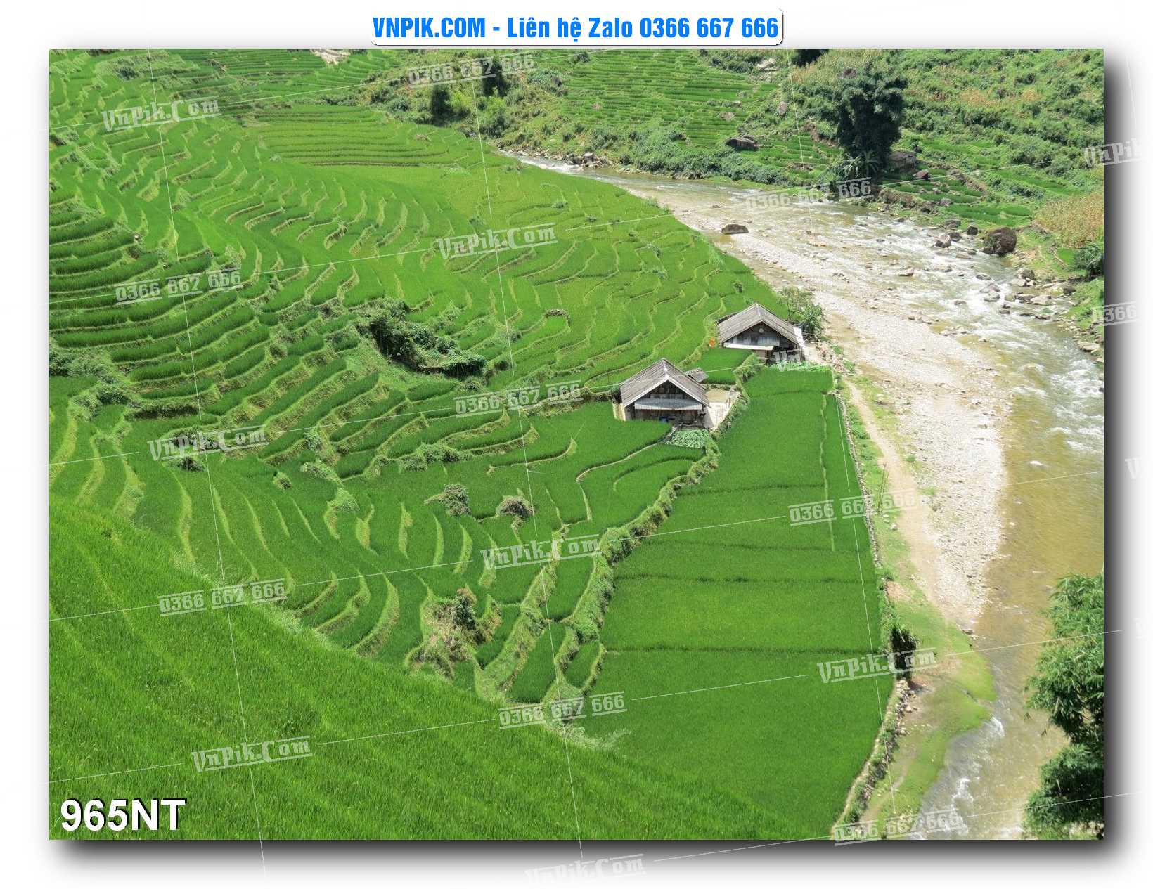 Tranh Trang Trí Phong Cảnh Nghệ Thuật Mã Số 965NT