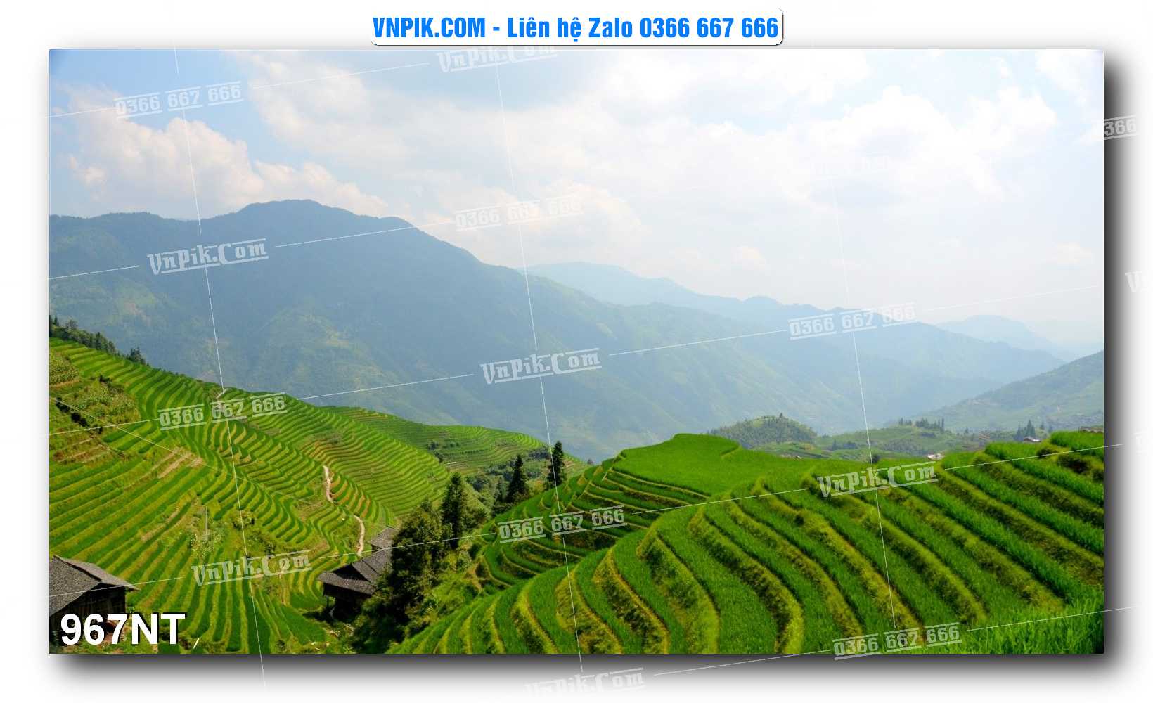 Tranh Trang Trí Phong Cảnh Nghệ Thuật Mã Số 967NT