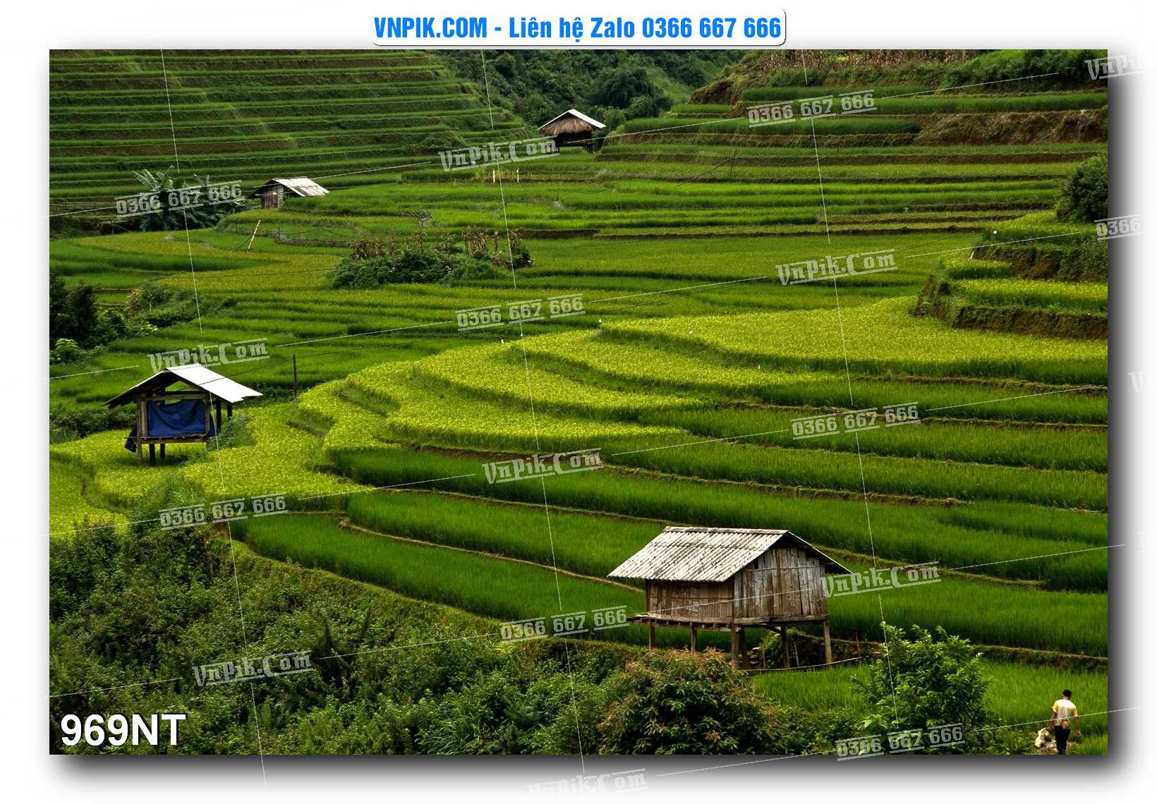 Tranh Trang Trí Phong Cảnh Nghệ Thuật Mã Số 969NT