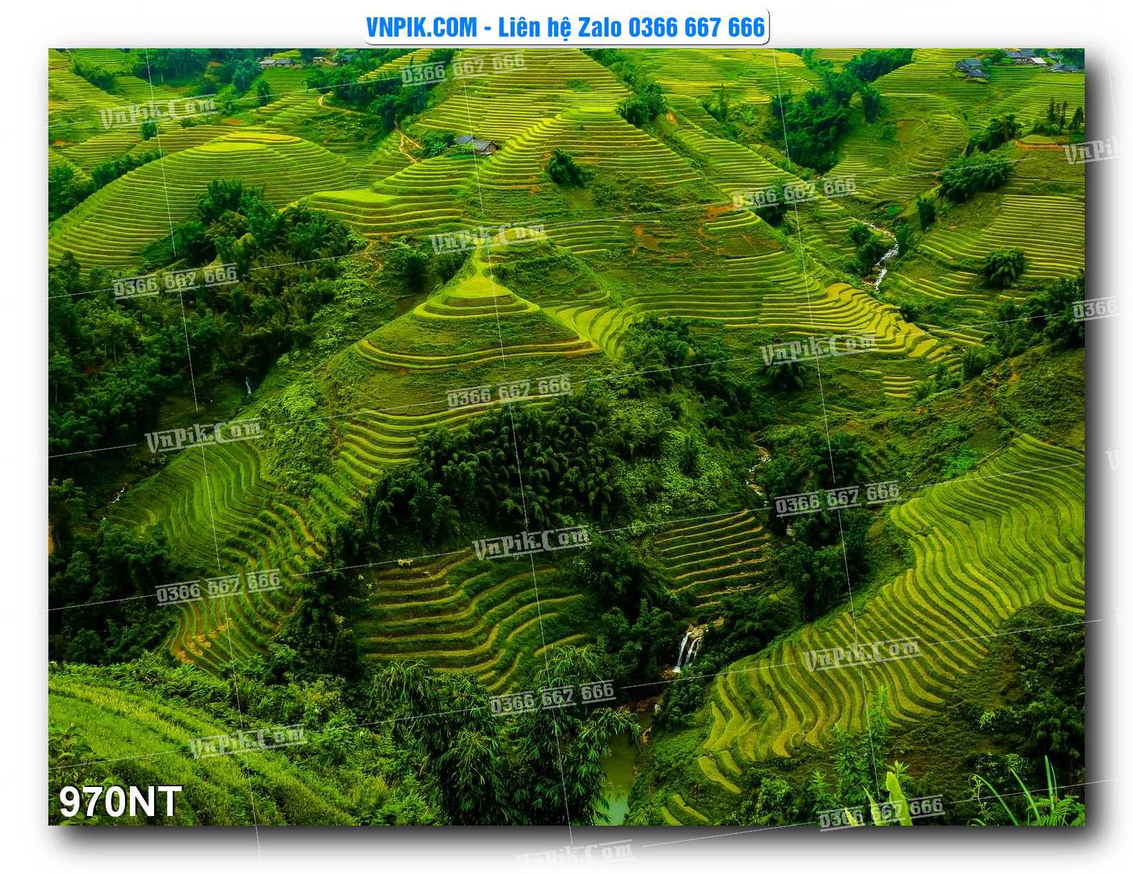 Tranh Trang Trí Phong Cảnh Nghệ Thuật Mã Số 970NT