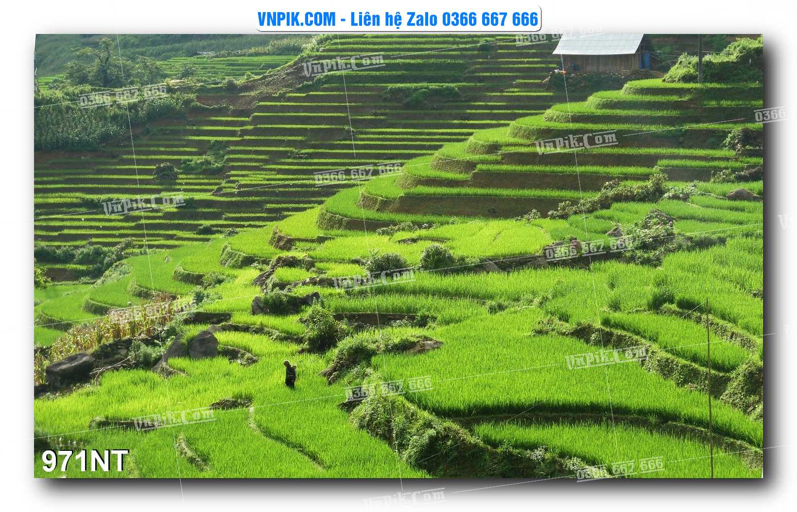 Tranh Trang Trí Phong Cảnh Nghệ Thuật Mã Số 971NT
