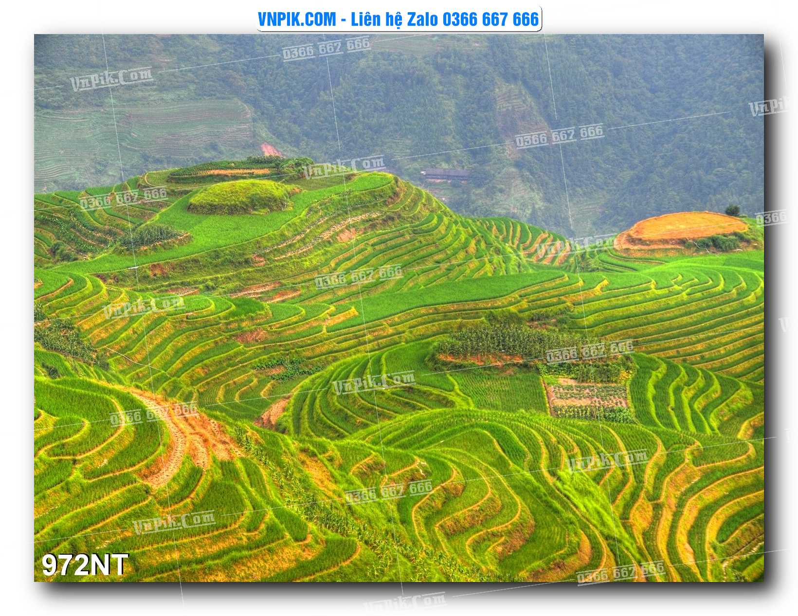 Tranh Trang Trí Phong Cảnh Nghệ Thuật Mã Số 972NT
