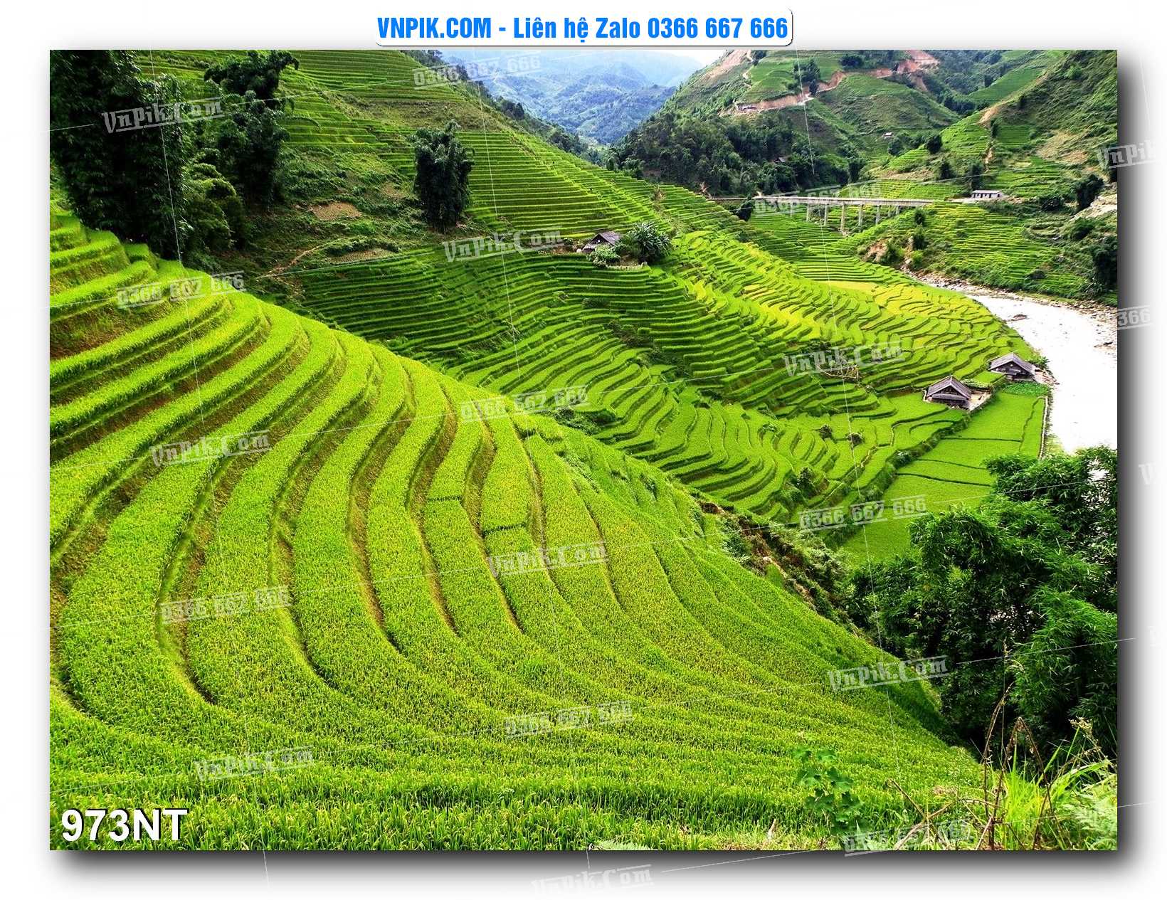 Tranh Trang Trí Phong Cảnh Nghệ Thuật Mã Số 973NT