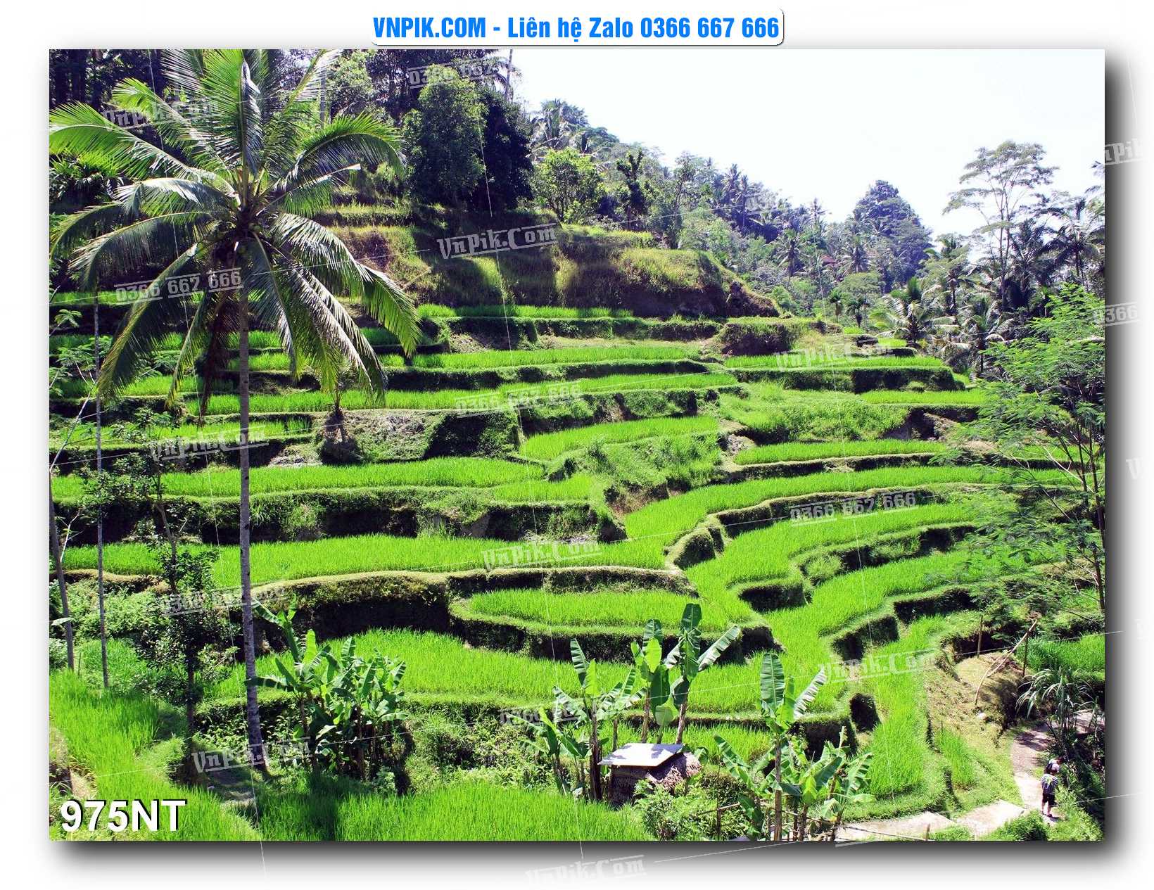 Tranh Trang Trí Phong Cảnh Nghệ Thuật Mã Số 975NT