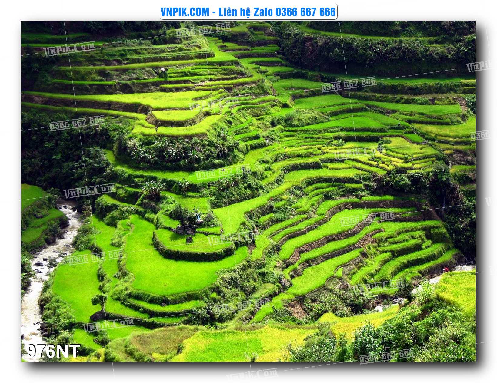 Tranh Trang Trí Phong Cảnh Nghệ Thuật Mã Số 976NT