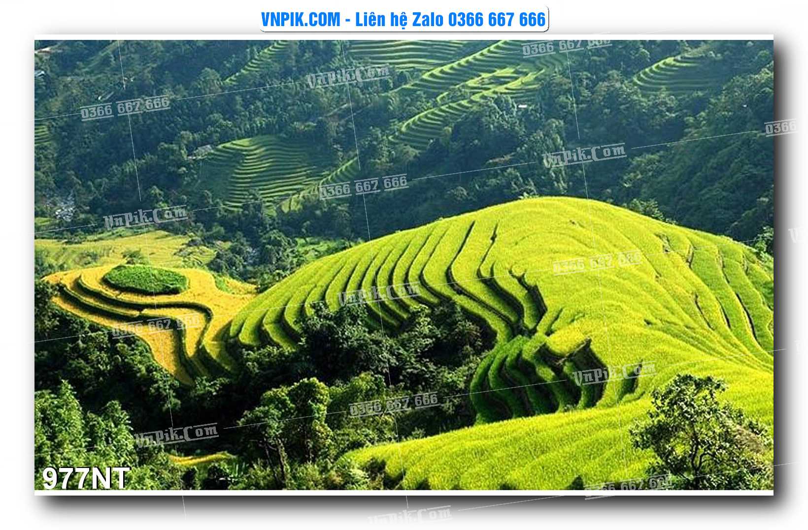 Tranh Trang Trí Phong Cảnh Nghệ Thuật Mã Số 977NT