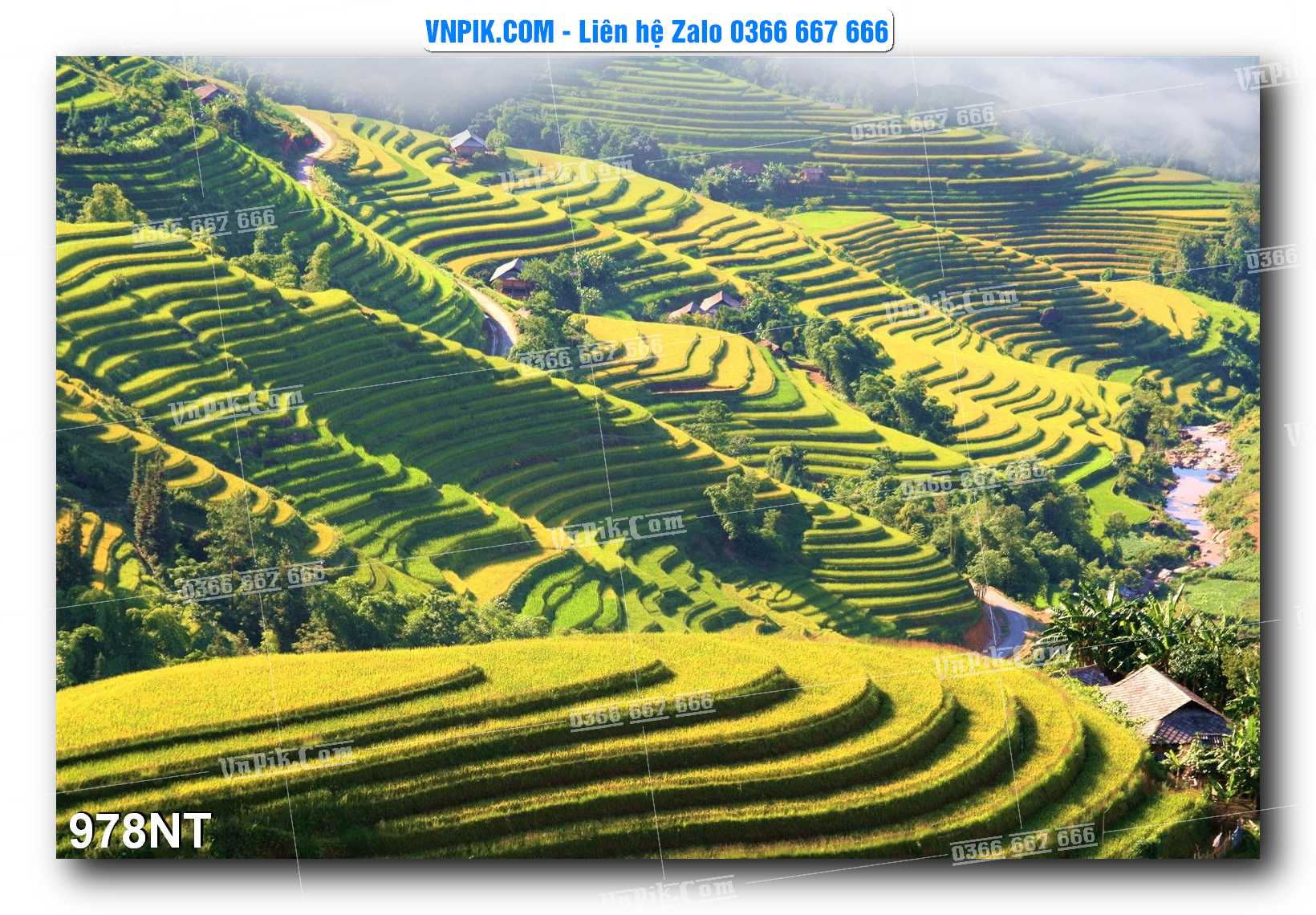 Tranh Trang Trí Phong Cảnh Nghệ Thuật Mã Số 978NT