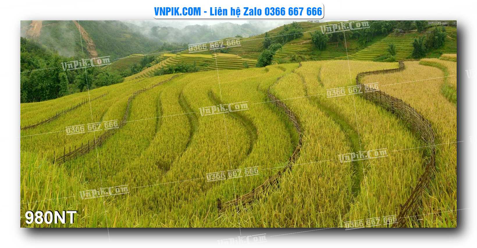 Tranh Trang Trí Phong Cảnh Nghệ Thuật Mã Số 980NT