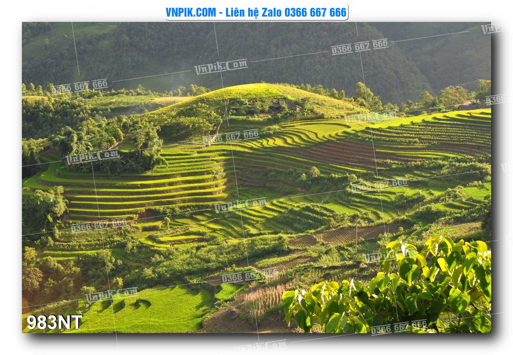 Tranh Trang Trí Phong Cảnh Nghệ Thuật Mã Số 983NT