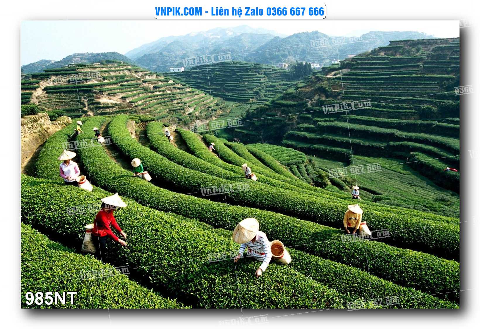Tranh Trang Trí Phong Cảnh Nghệ Thuật Mã Số 985NT