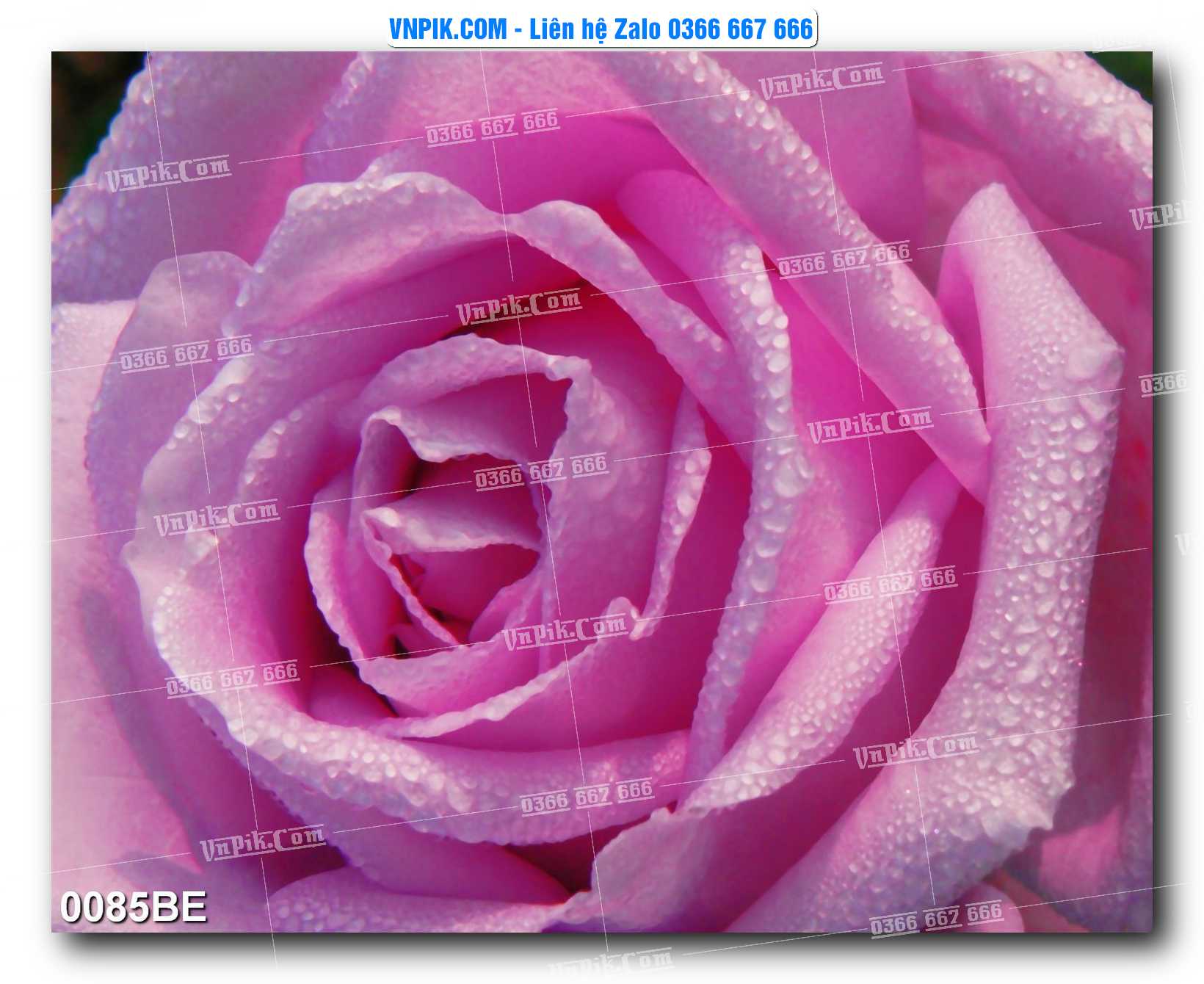 Tranh treo tường trang trí phòng bếp đẹp mã 0085BE