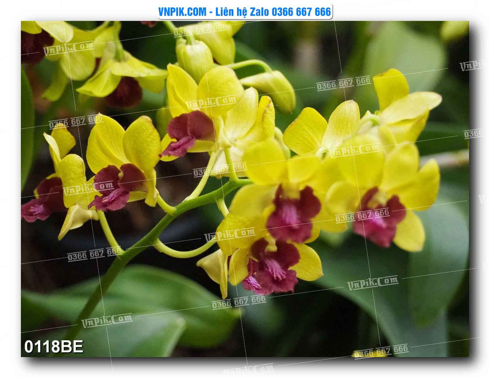 Tranh treo tường trang trí phòng bếp đẹp mã 0118BE