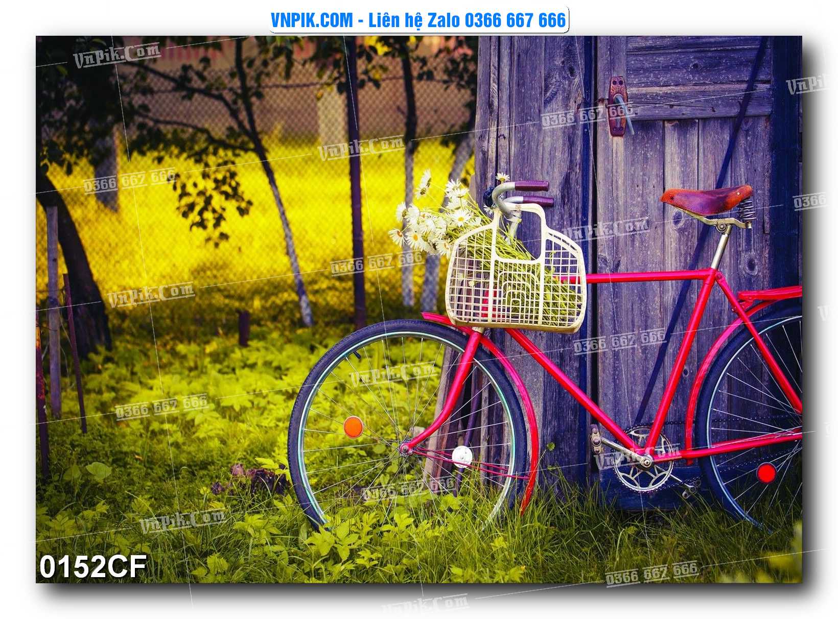 Tranh tường trang trí quán cà phê – trà chanh – trà sữa mã 0152CF
