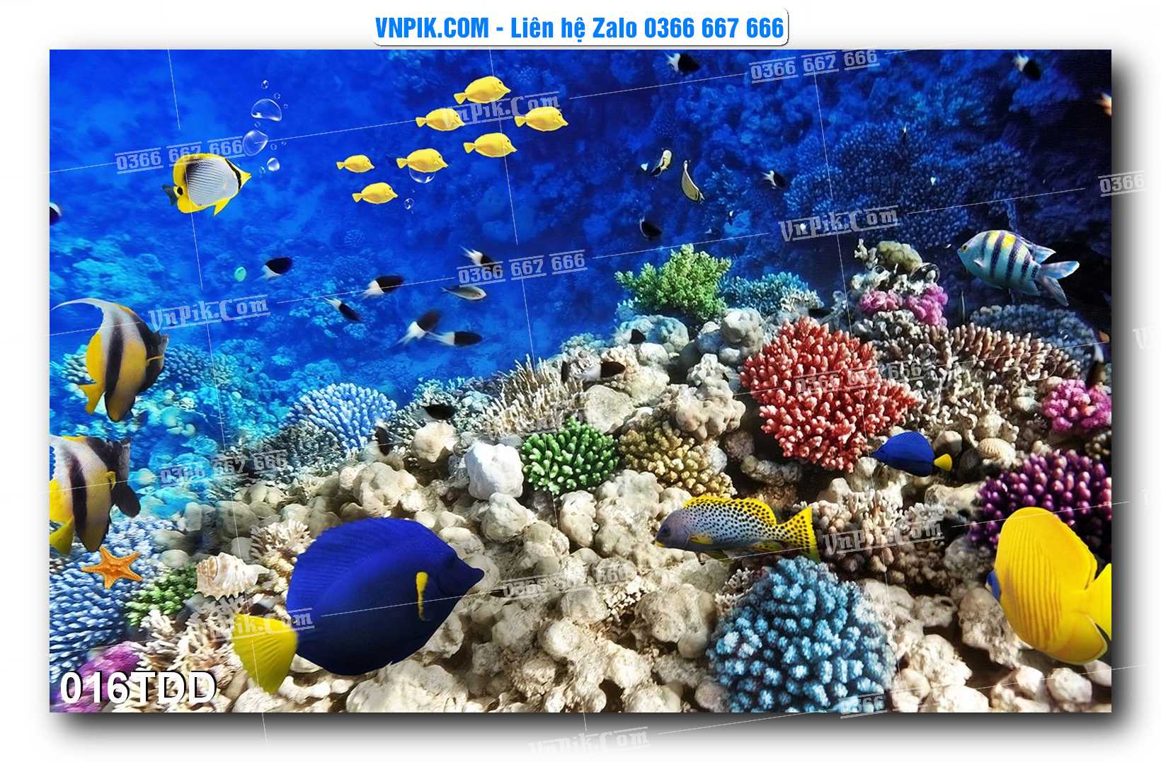 Tranh đại dương – cá heo 3D – tranh bể cá 016TDD